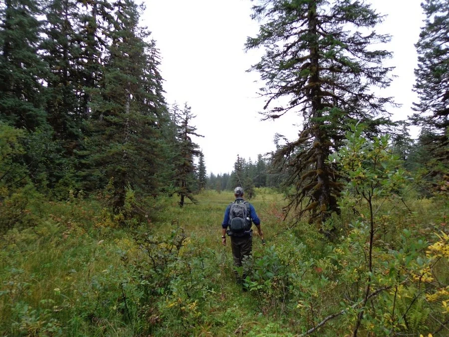 Hiking the Upper Situk River.JPG