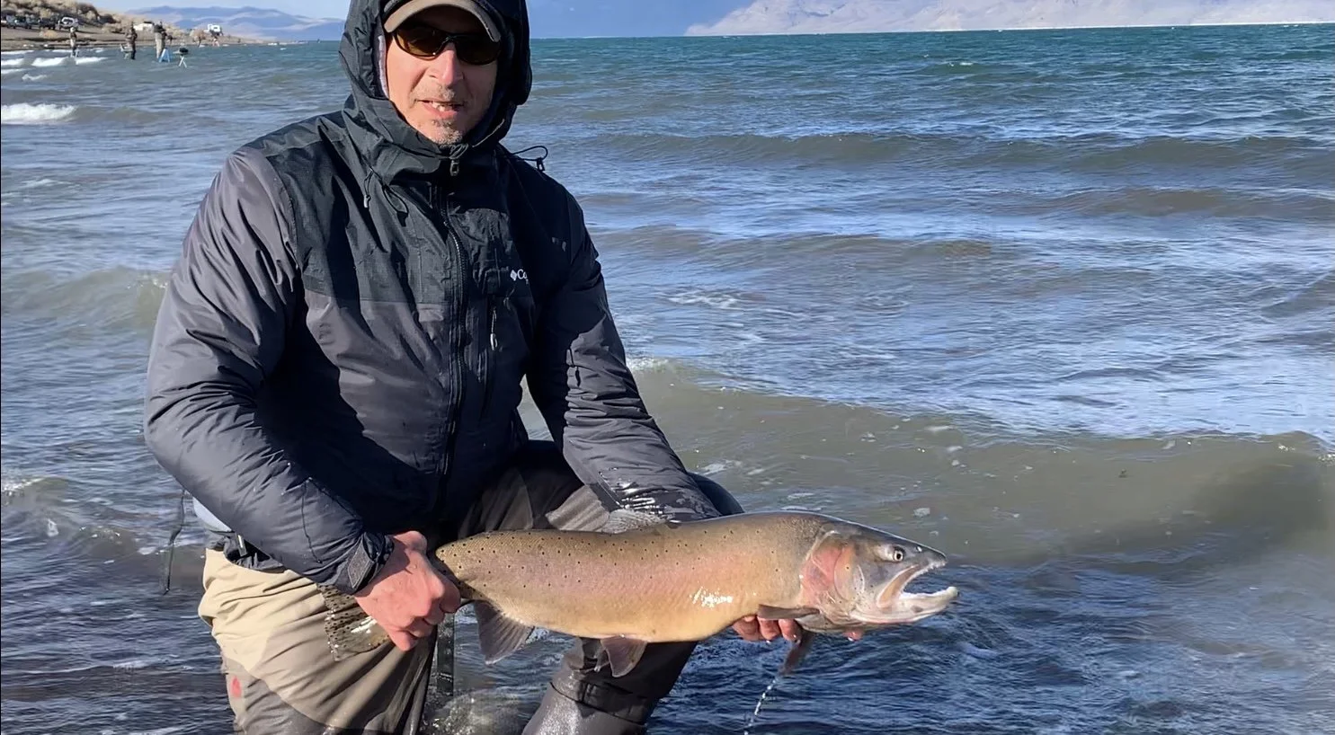 Beach Fish_SQweb.jpg