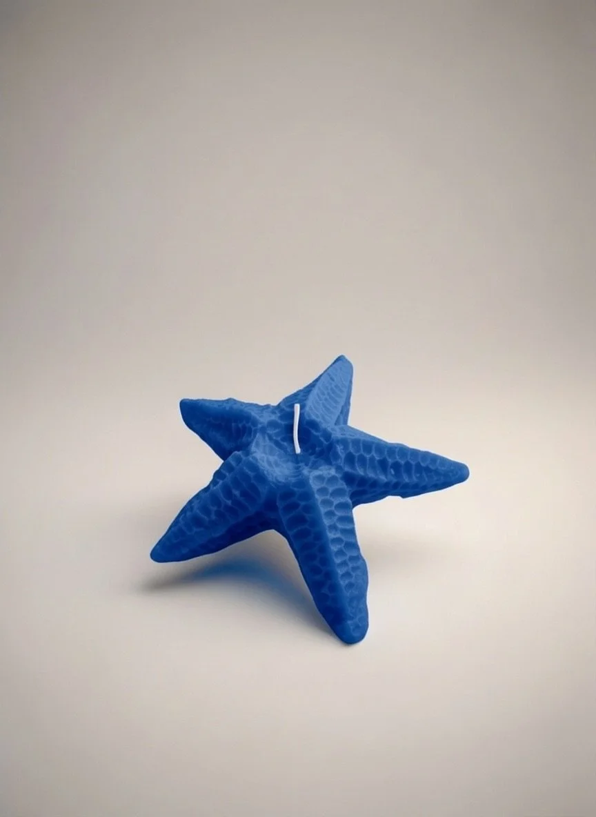 Estrella de Mar Grande