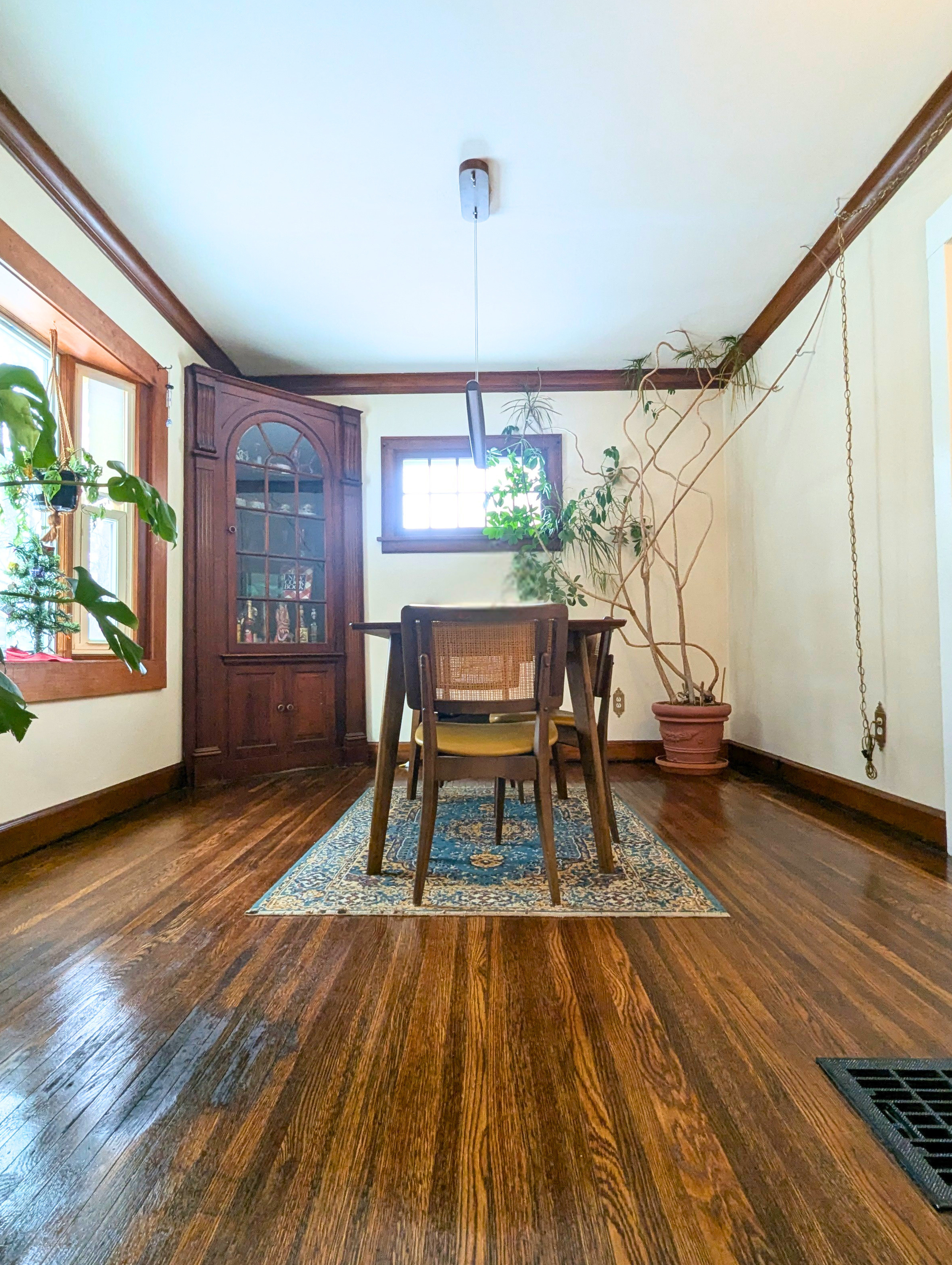 Dining room with wooden floor, rug, chairs, a cabinet, window, and plants.