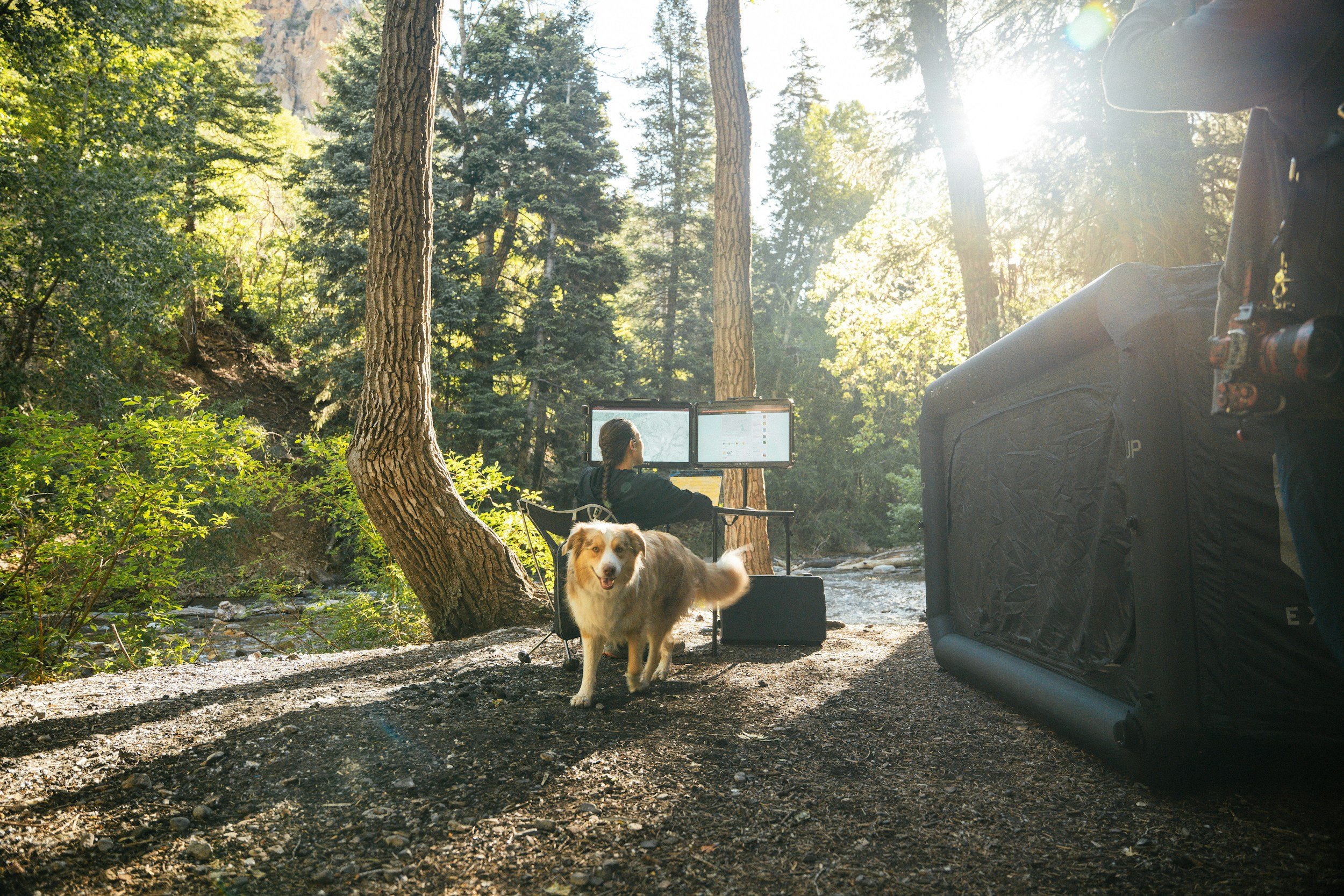 A woman sitting in a camping chair with a dog standing beside her, in a forest near a creek with trees and sunlight filtering through.