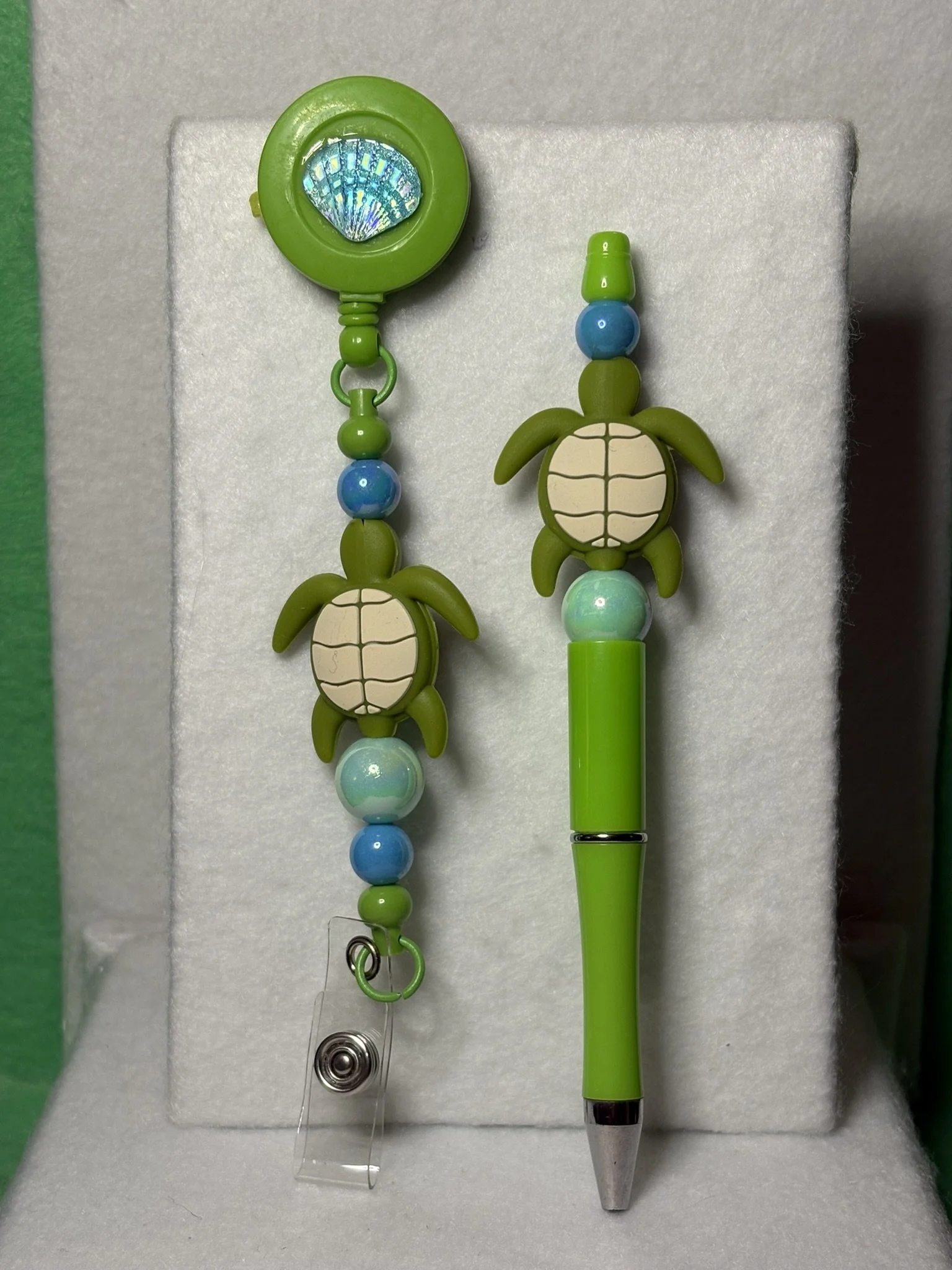Turtle Set Back.JPEG