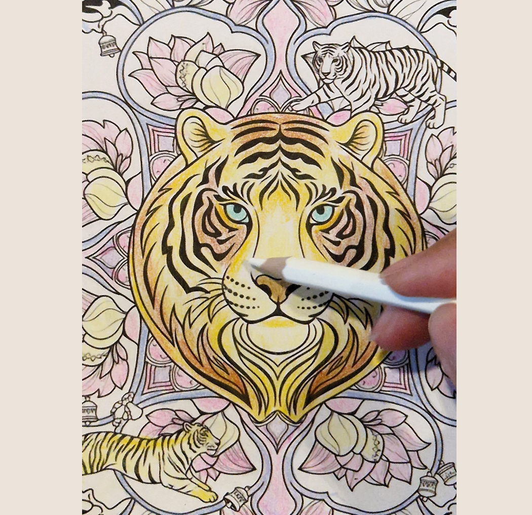MandalaPath India : Ranthambore National Park by Aey