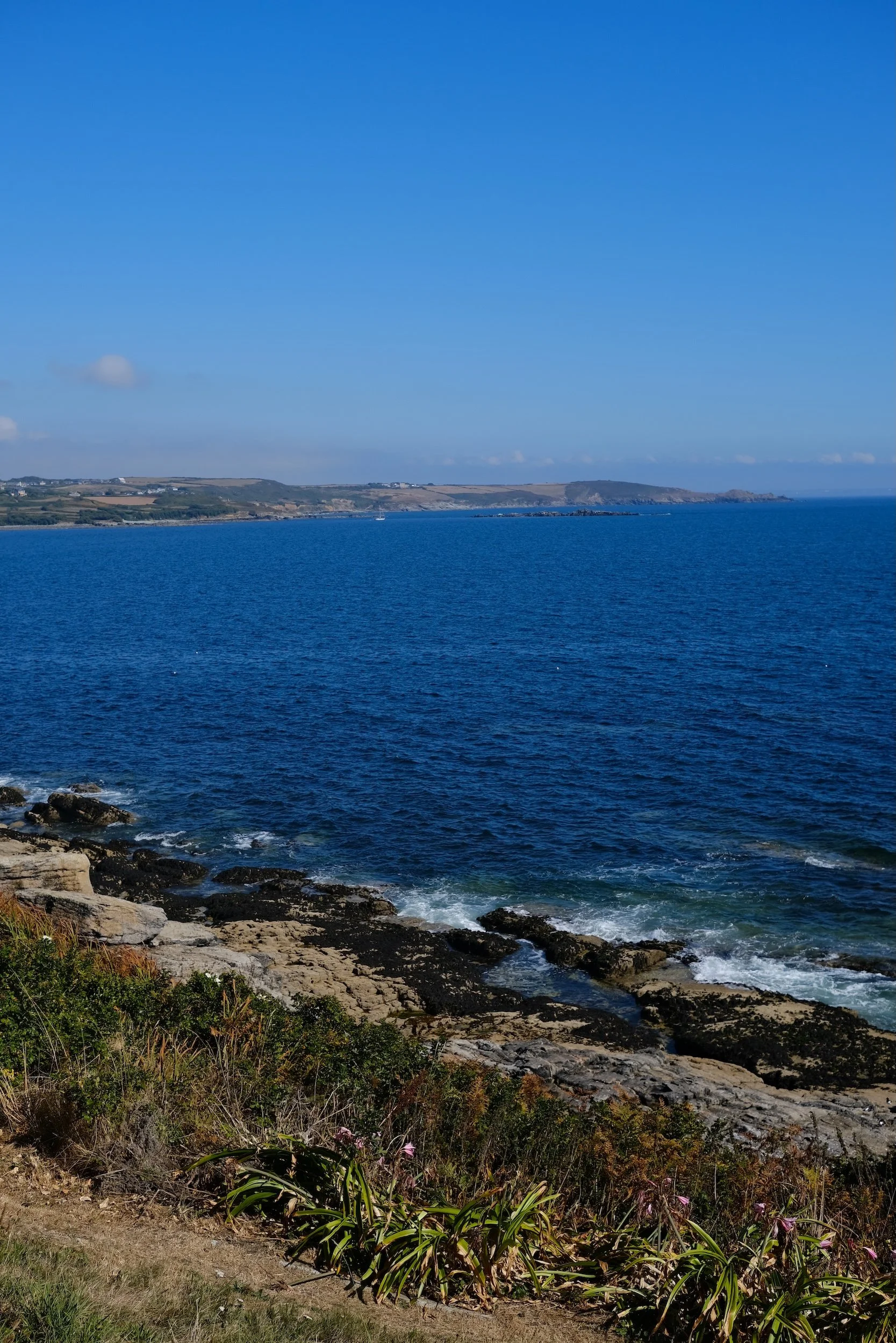 Cornish cliff edge with blue ocean and plants