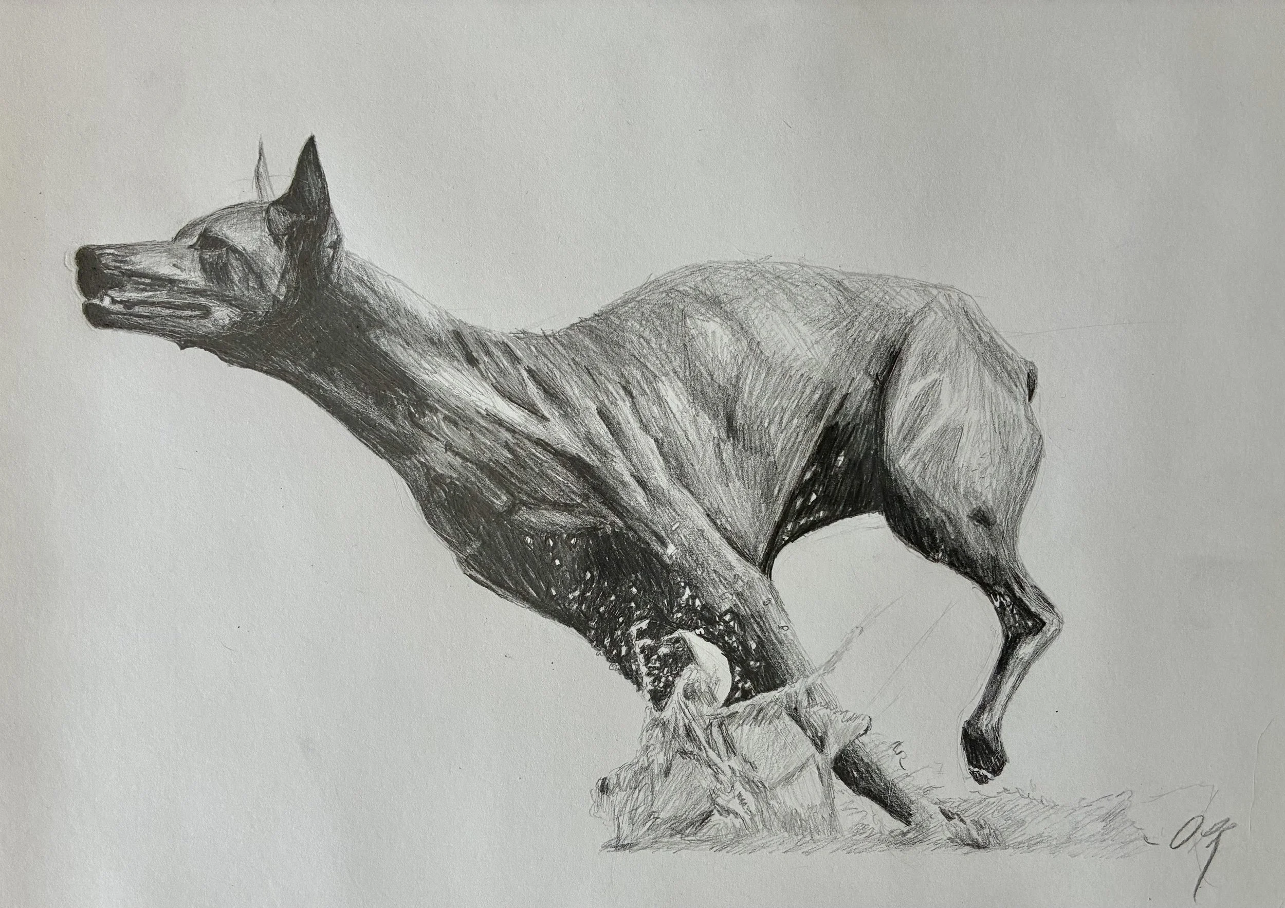 Featured at Anita B. Gorman Conservation Discovery Center