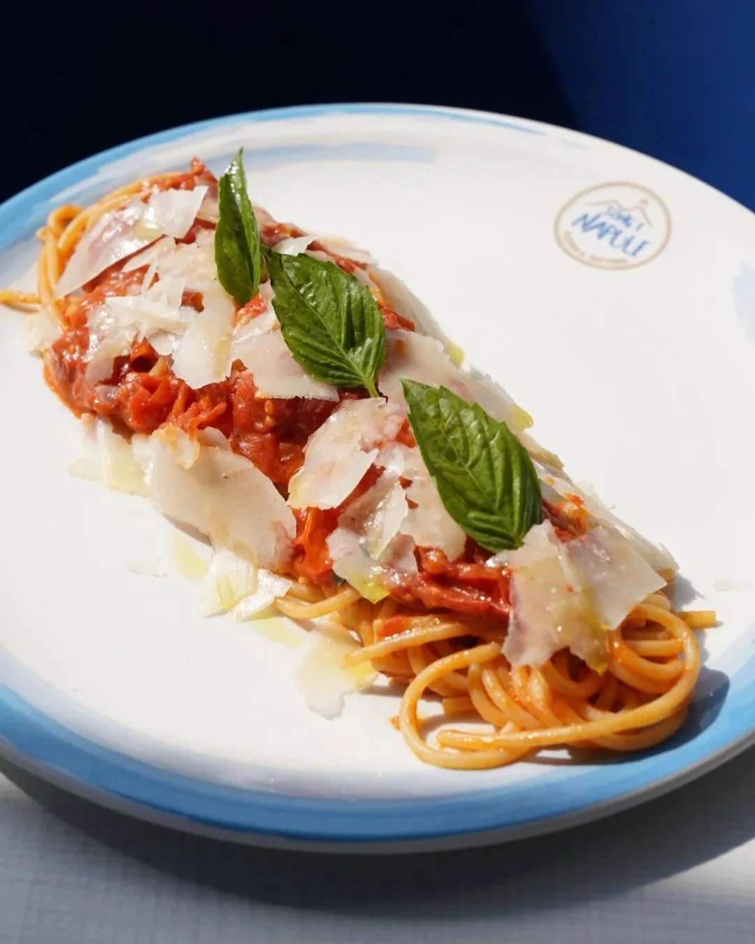 Beautifully layed down spaguetti al Pomodoro with shaved parmesano and basil
