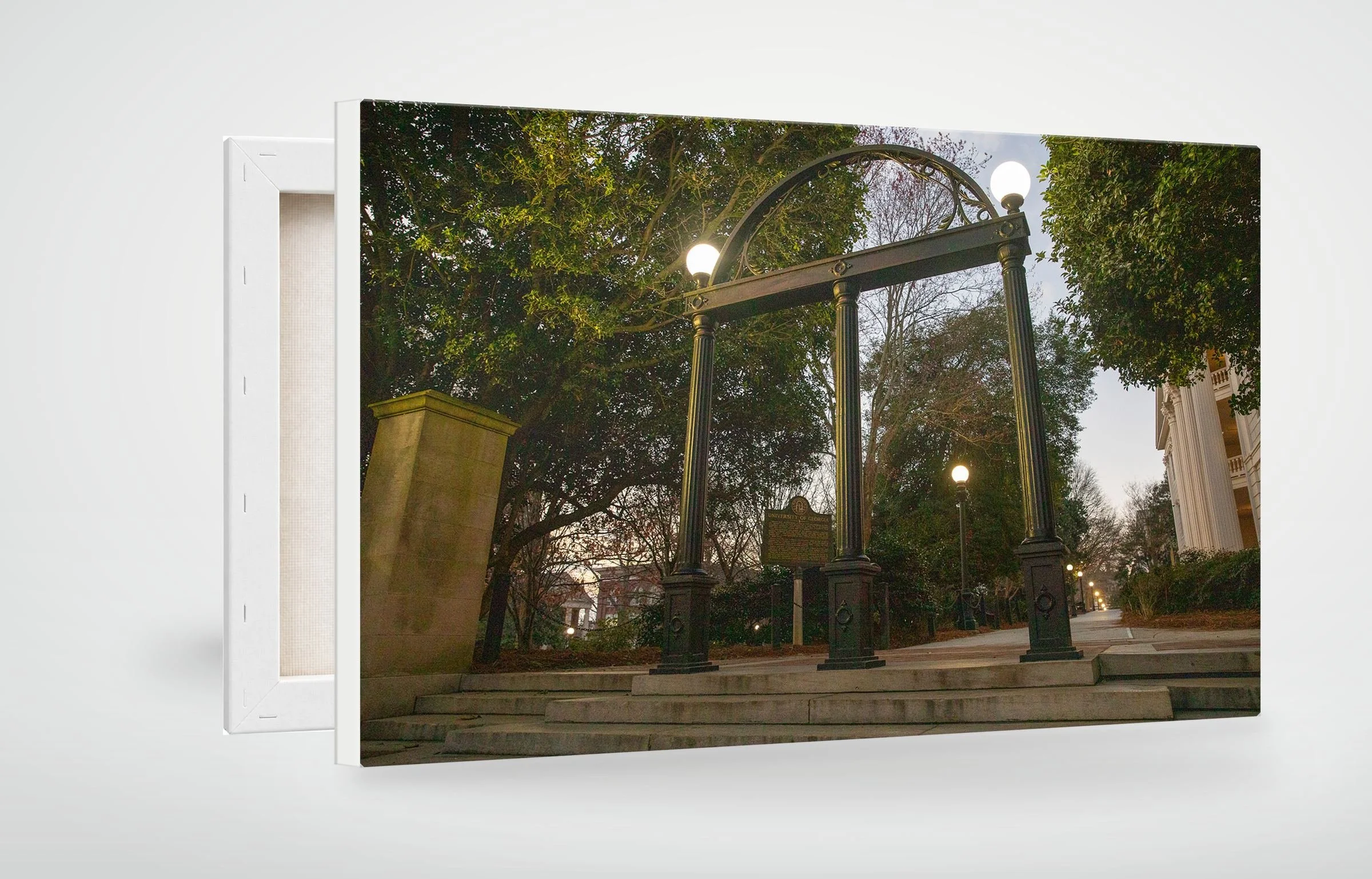 ATH01-MOCKUP-CANVAS.jpg