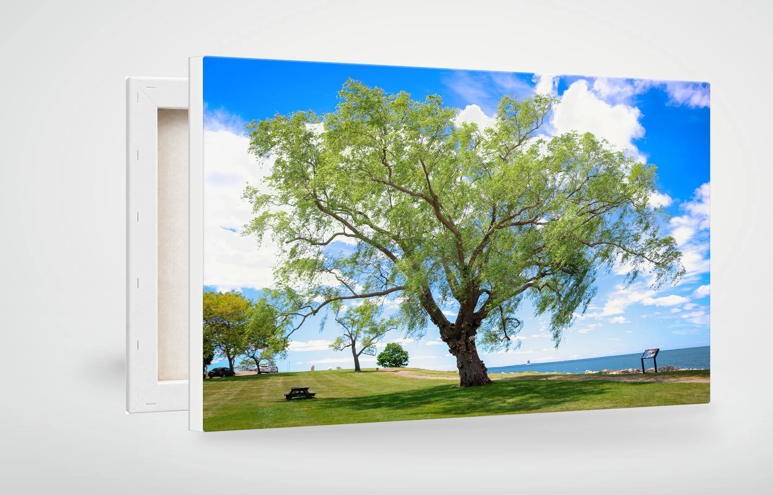 GRO01-MOCKUP-CANVAS.jpg