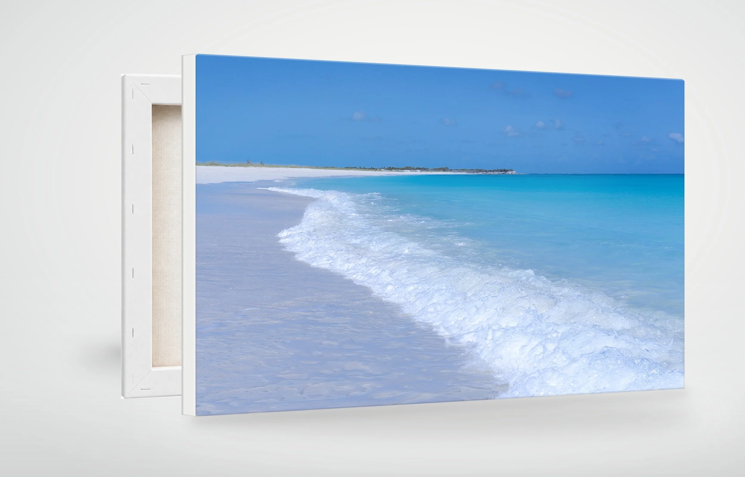 TAC06-MOCKUP-CANVAS.jpg