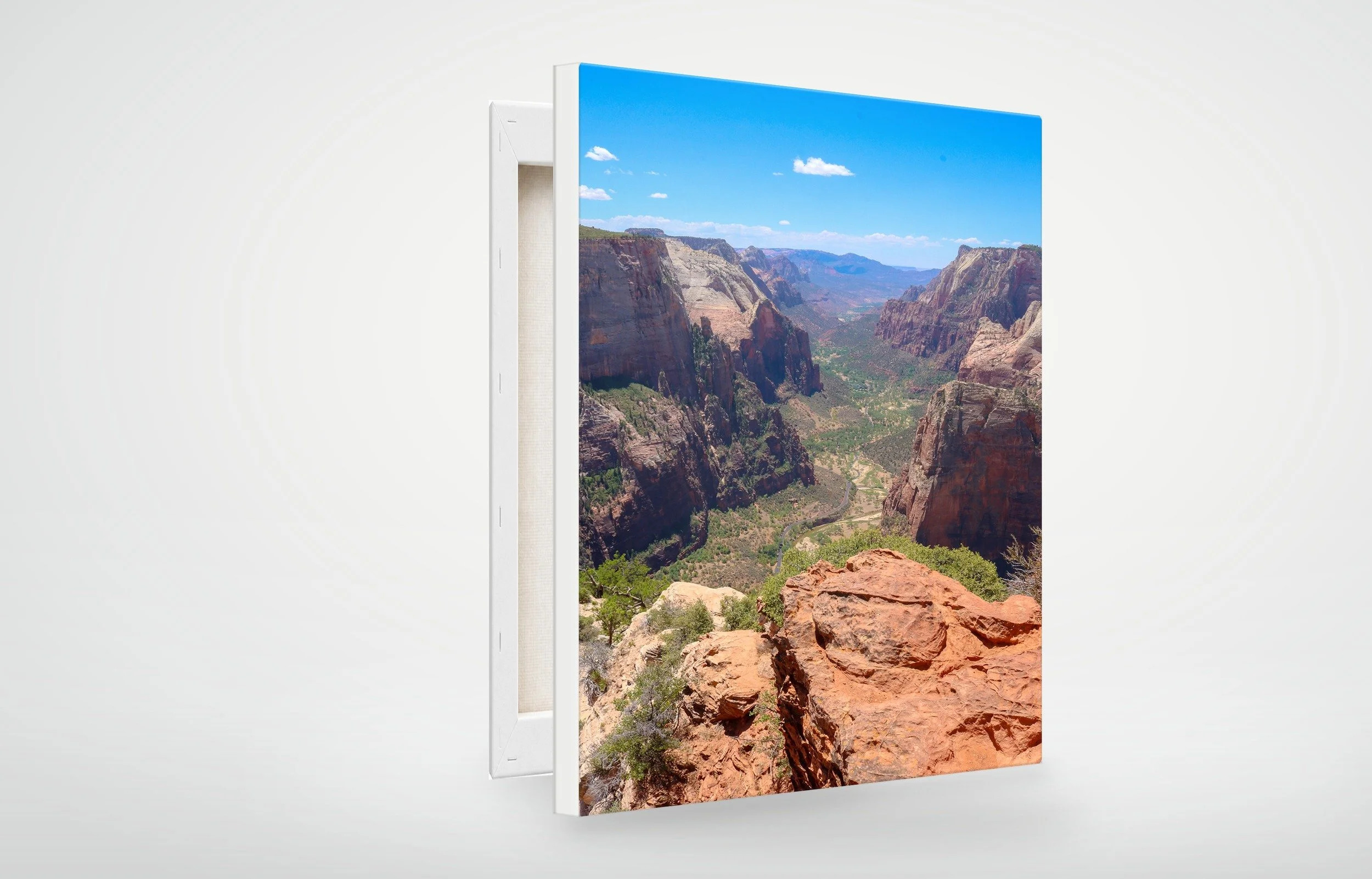ZIO01-MOCKUP-CANVAS.jpg