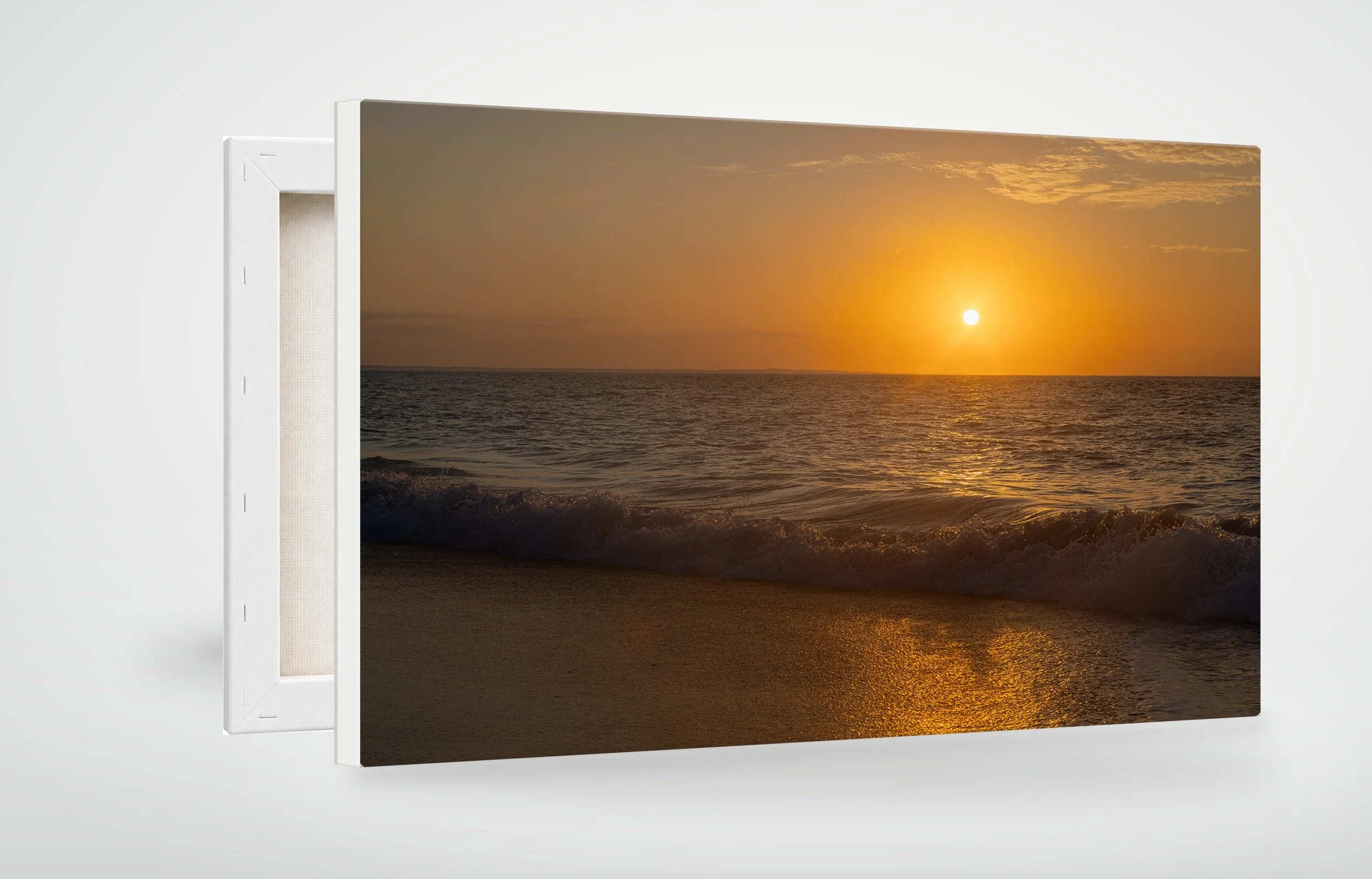 TAC11-MOCKUP-CANVAS.jpg