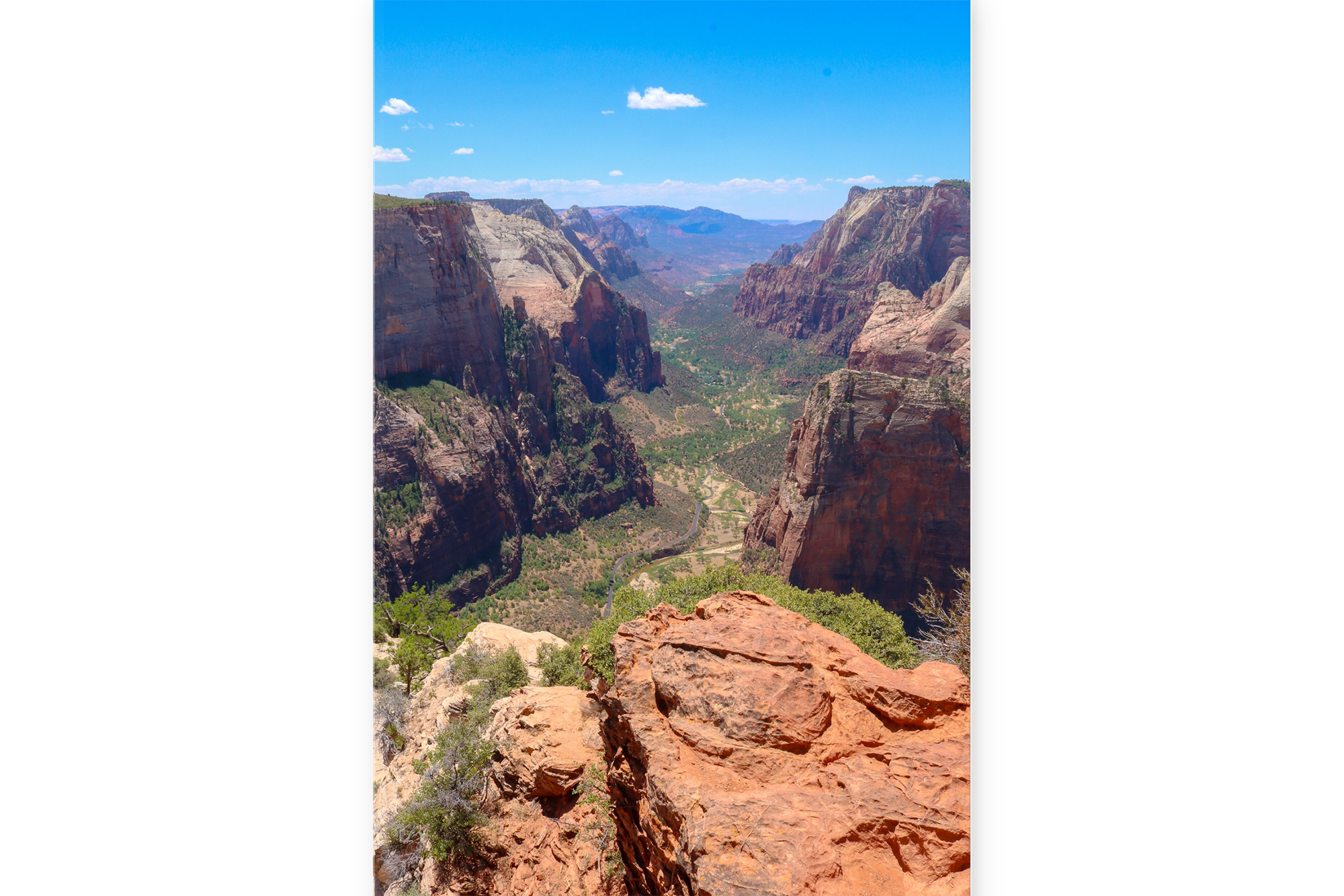 ZIO01-MOCKUP-PRINT.png