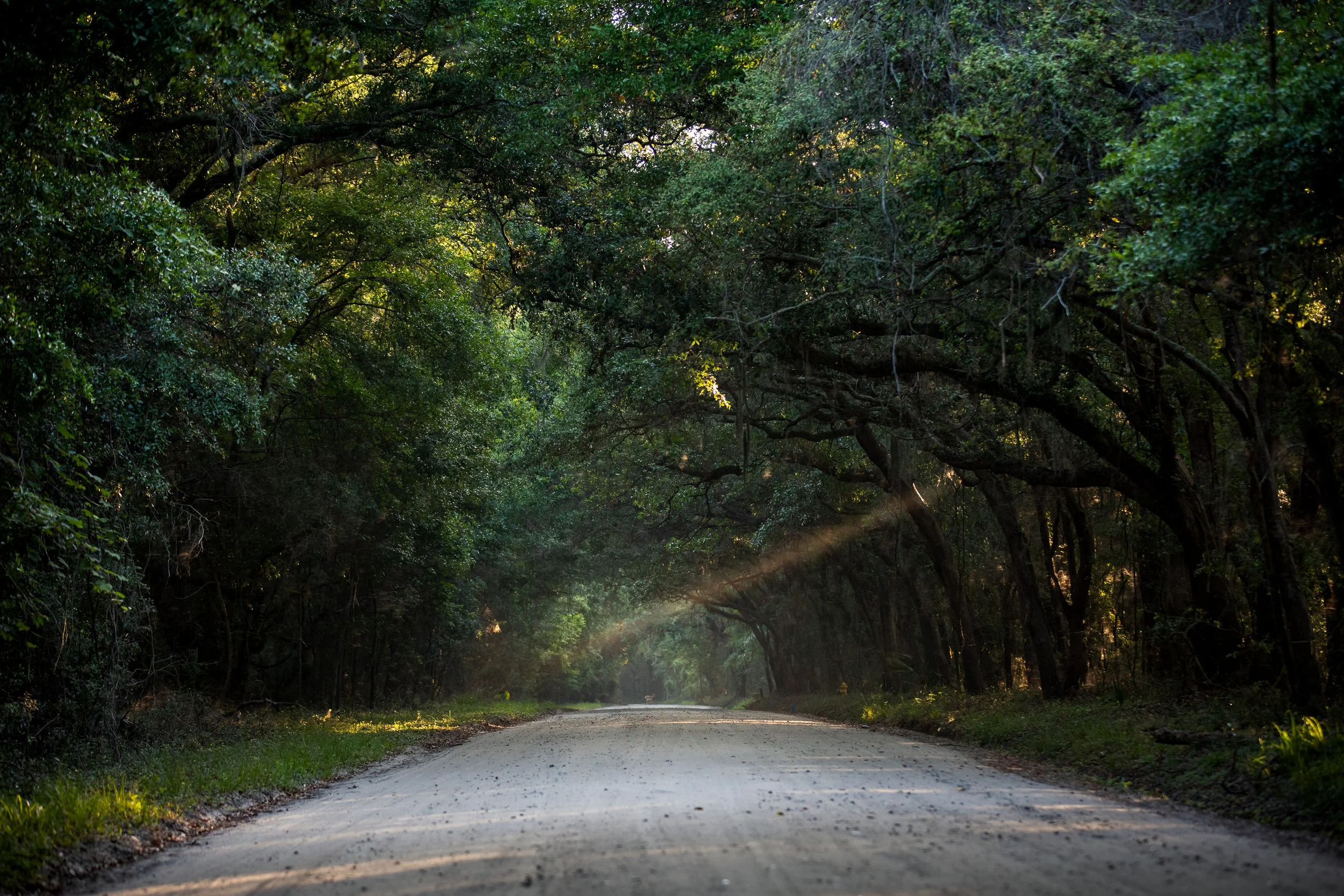 Hilton Head Island
