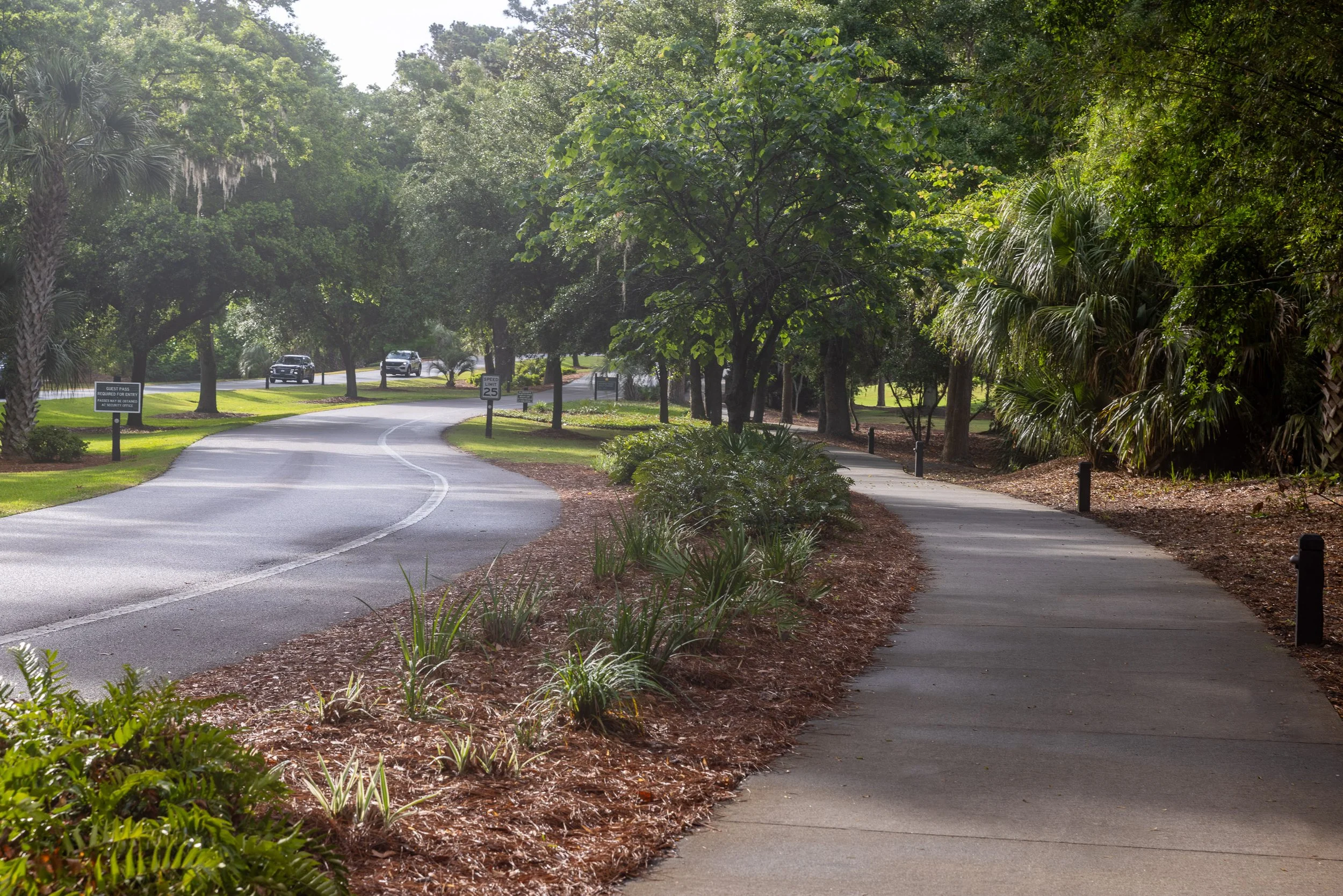 A Hilton Head Island roadway and dedicated bicycle path run side by side beneath surrounding trees.