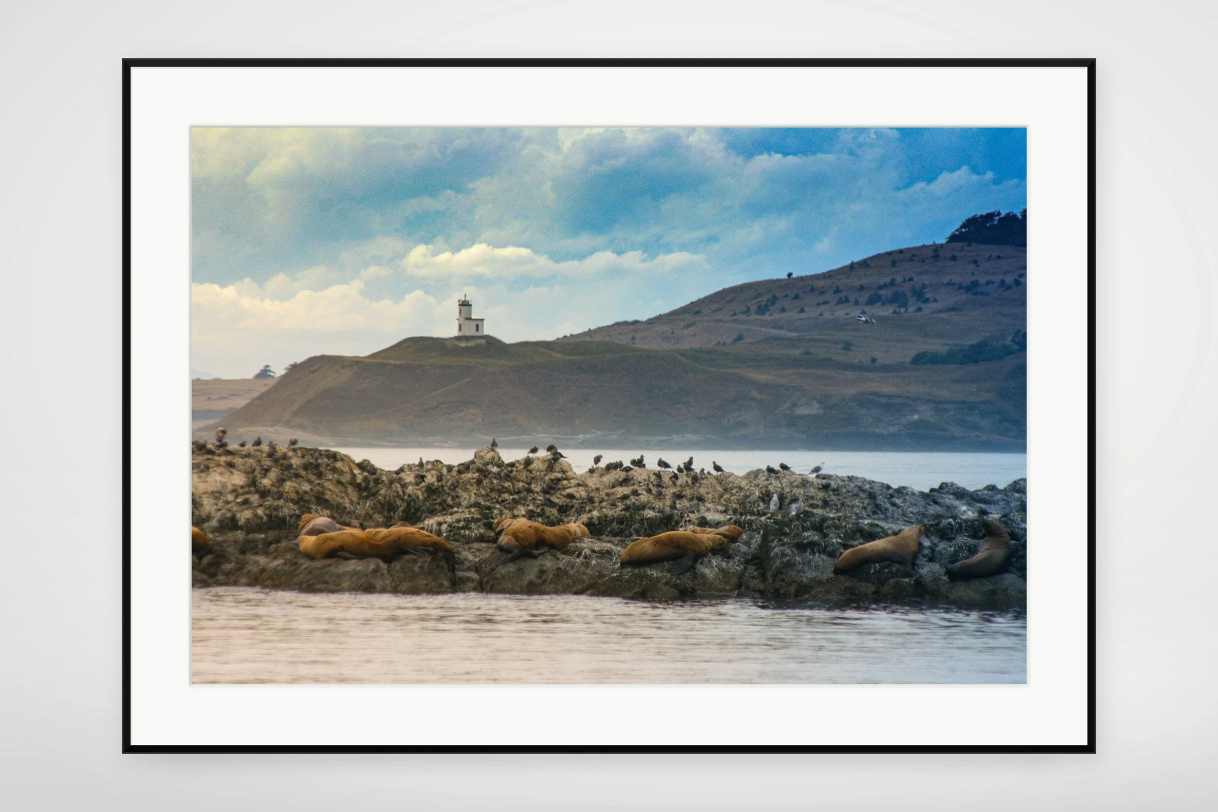 FRI01-MOCKUP-FRAMED.jpg