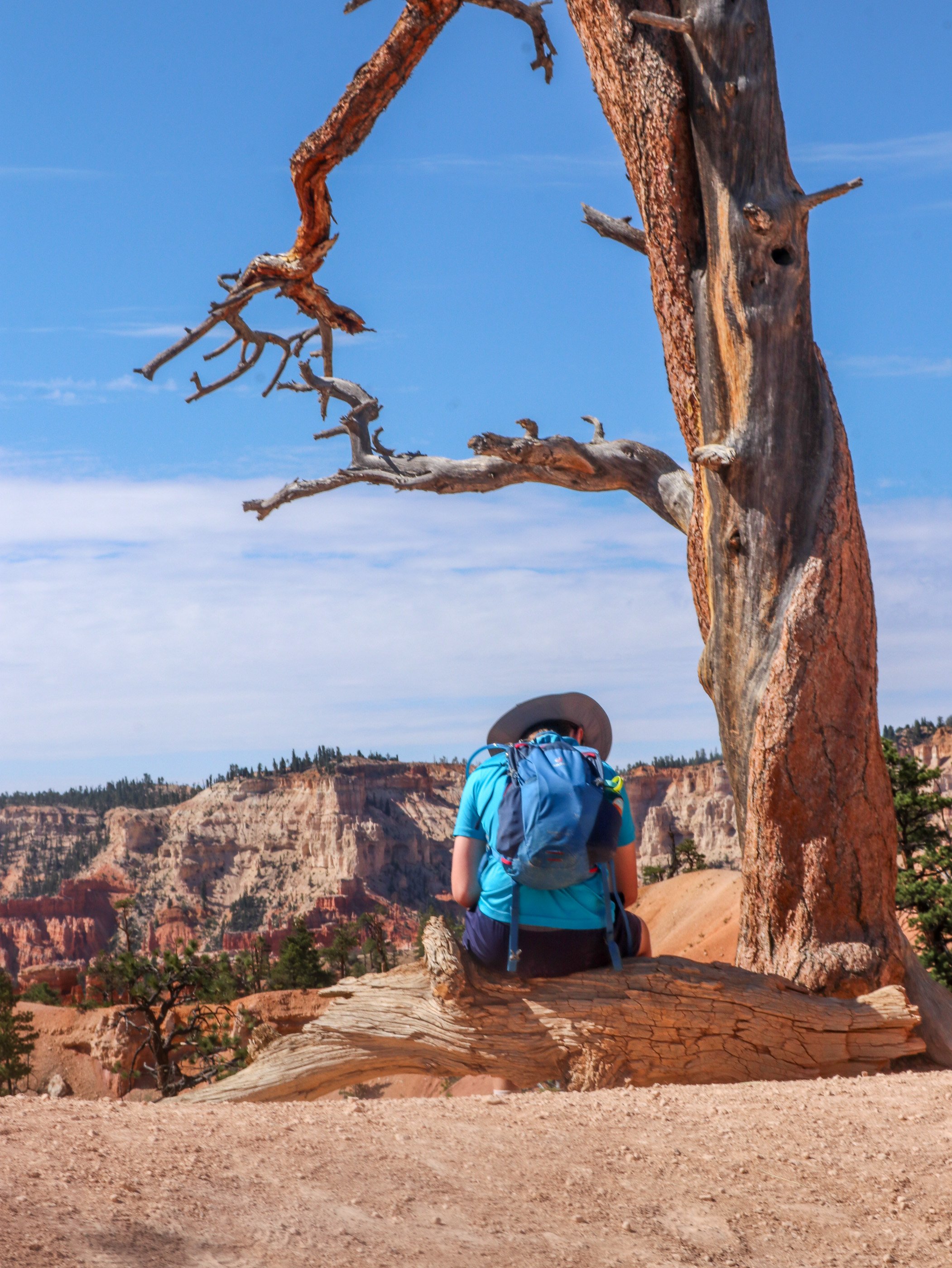 A pause beneath a weathered tree along Bryce Canyon’s eight-mile Fairyland Loop. The trail descends among the hoodoos and returns along the rim, revealing both wooded slopes and open amphitheaters. Walking through this landscape gives the formations 