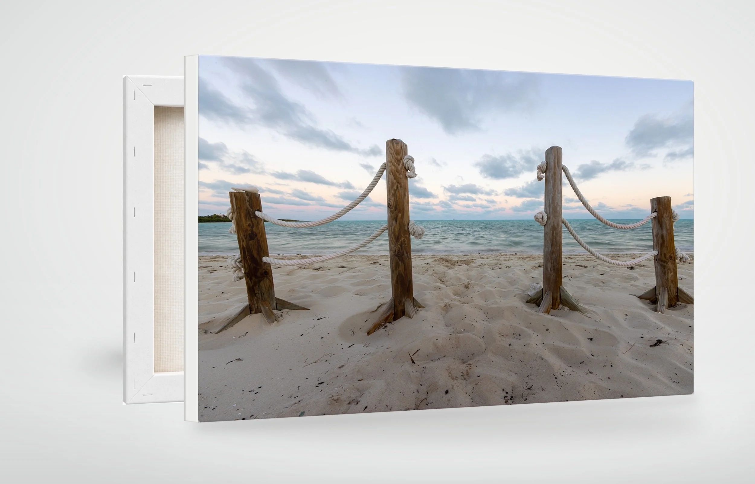 TAC02-MOCKUP-CANVAS.jpg