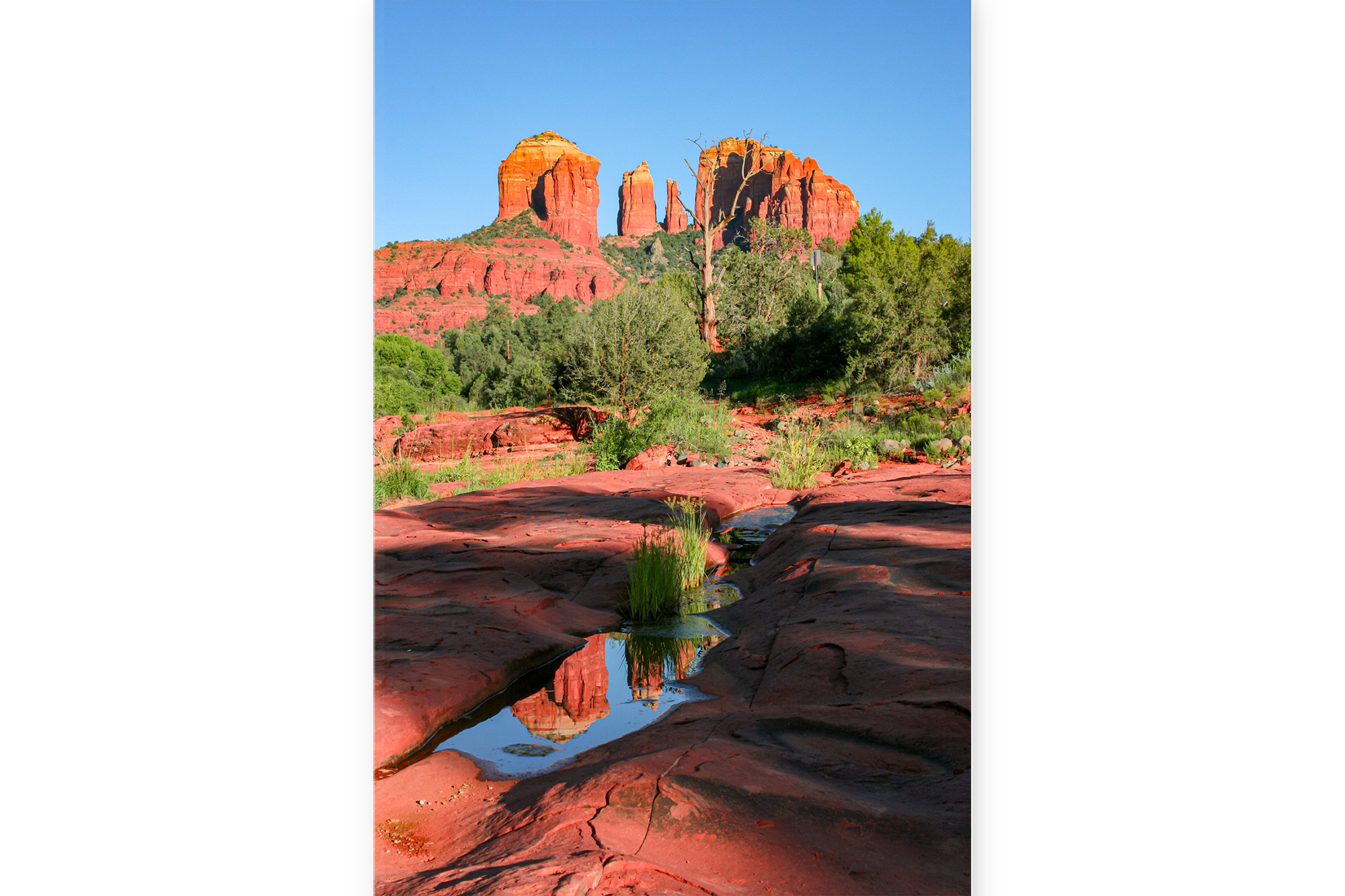 SED01-MOCKUP-PRINT.png