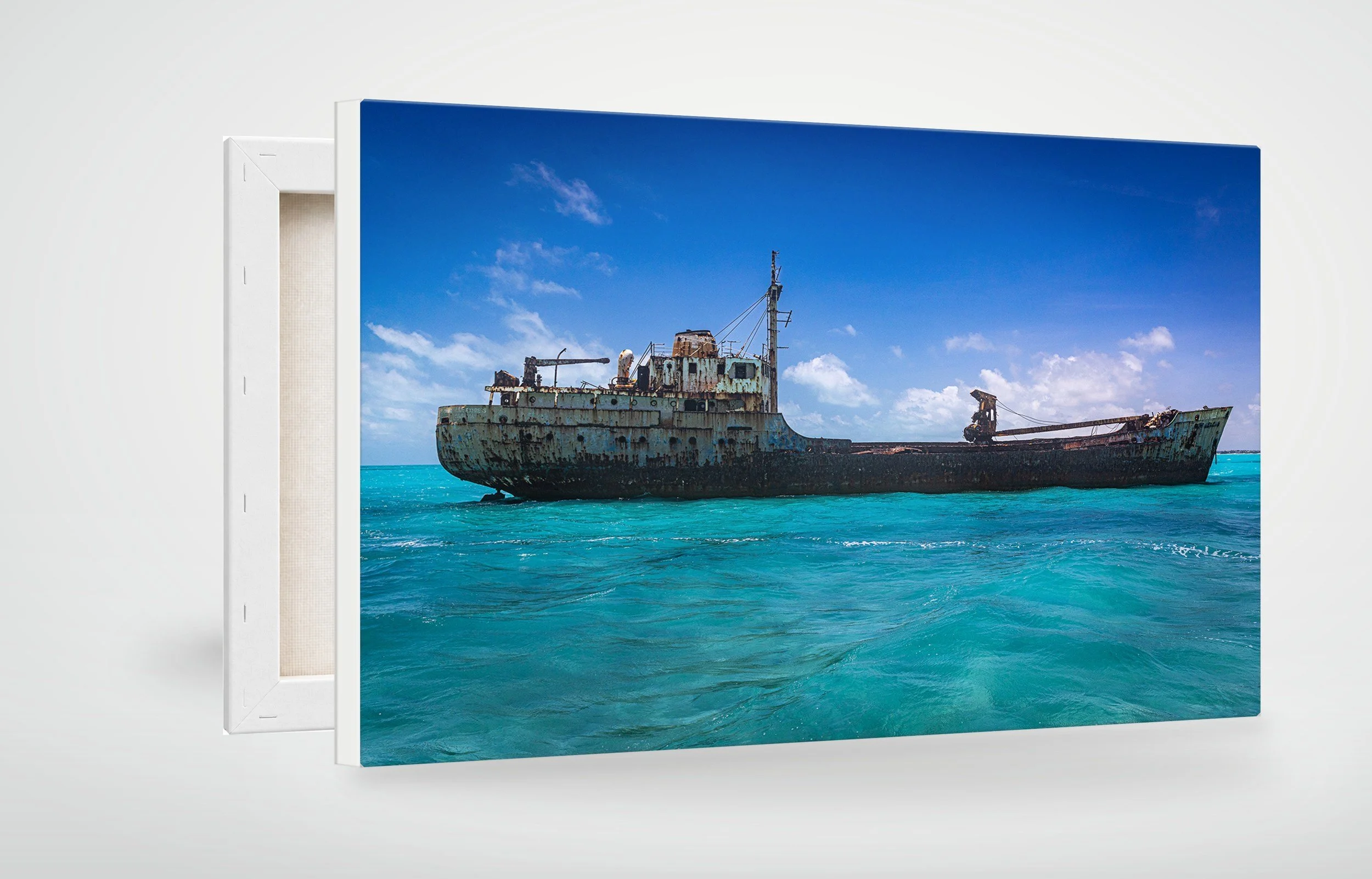 TAC08-MOCKUP-CANVAS.jpg