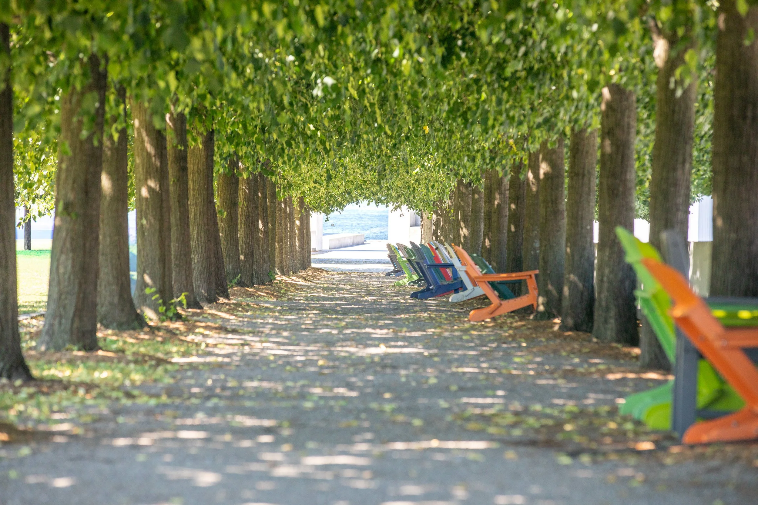 A linden-lined path runs alongside the central lawn at Four Freedoms Park, leading toward Roosevelt’s bronze portrait. Louis Kahn designed the approach to narrow and focus the view as visitors move toward the island’s tip.
