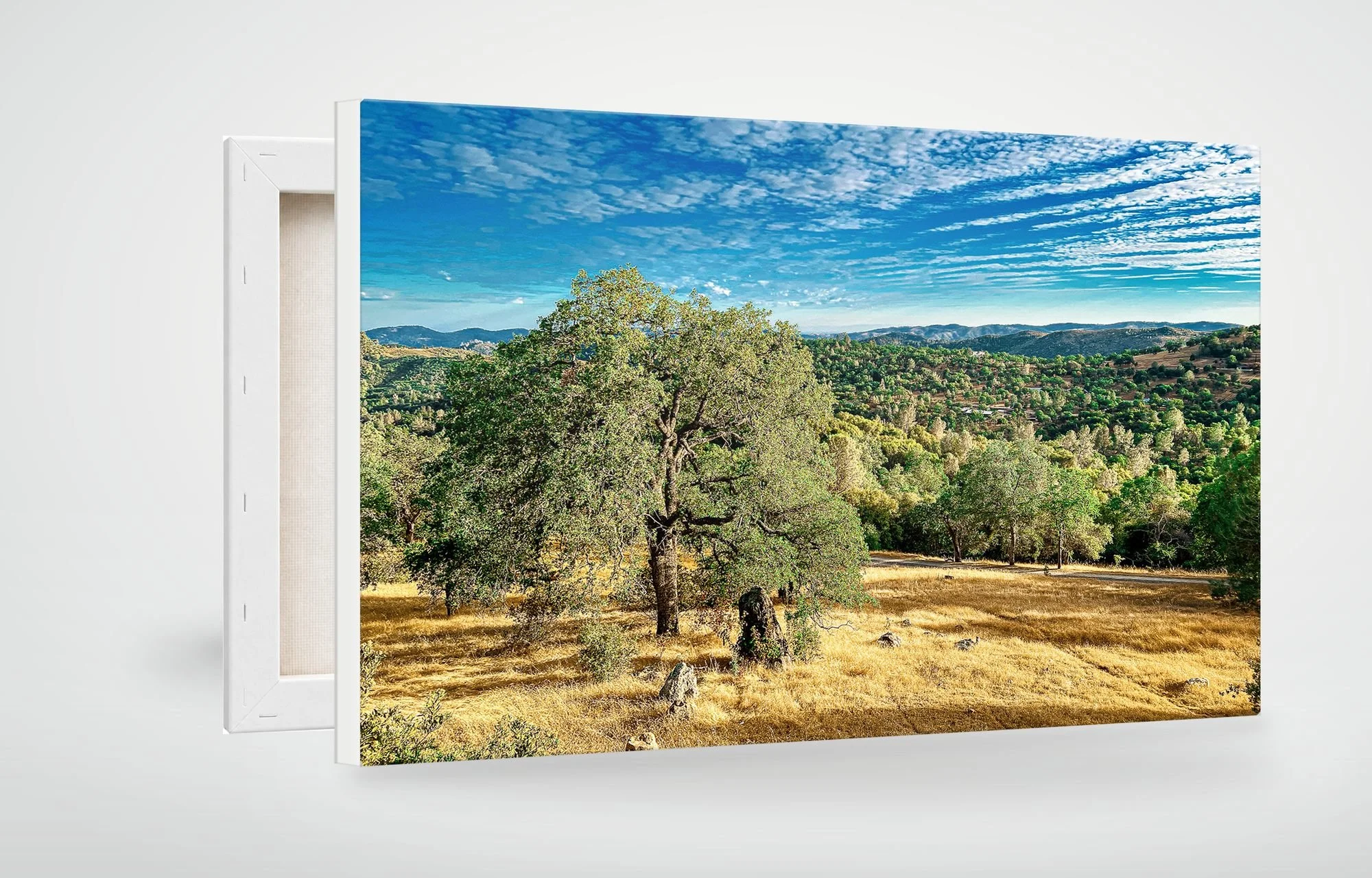 MARI01-MOCKUP-CANVAS.jpg