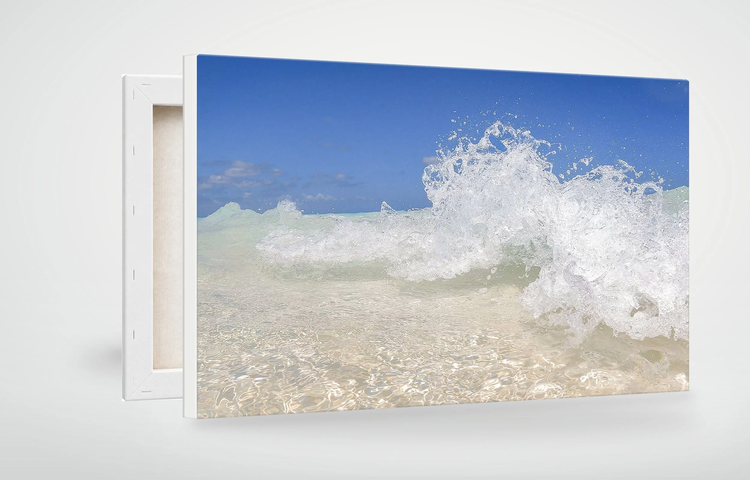 TAC14-MOCKUP-CANVAS.jpg