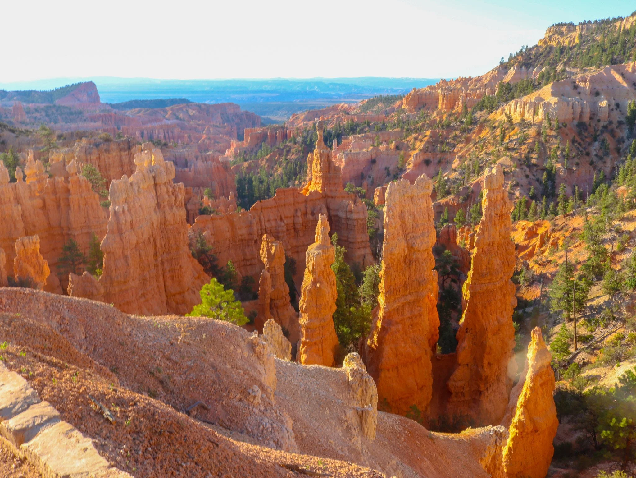 The tall, narrow rock spires at Bryce are called hoodoos. They occur elsewhere in the world, but nowhere are they more concentrated. Here, water enters cracks, freezes, and expands, gradually breaking the rock apart. Layers that wear away at differen