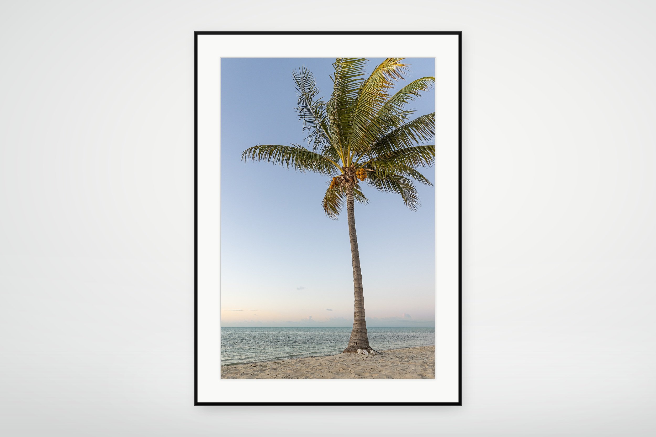 TAC01-MOCKUP-FRAMED.jpg
