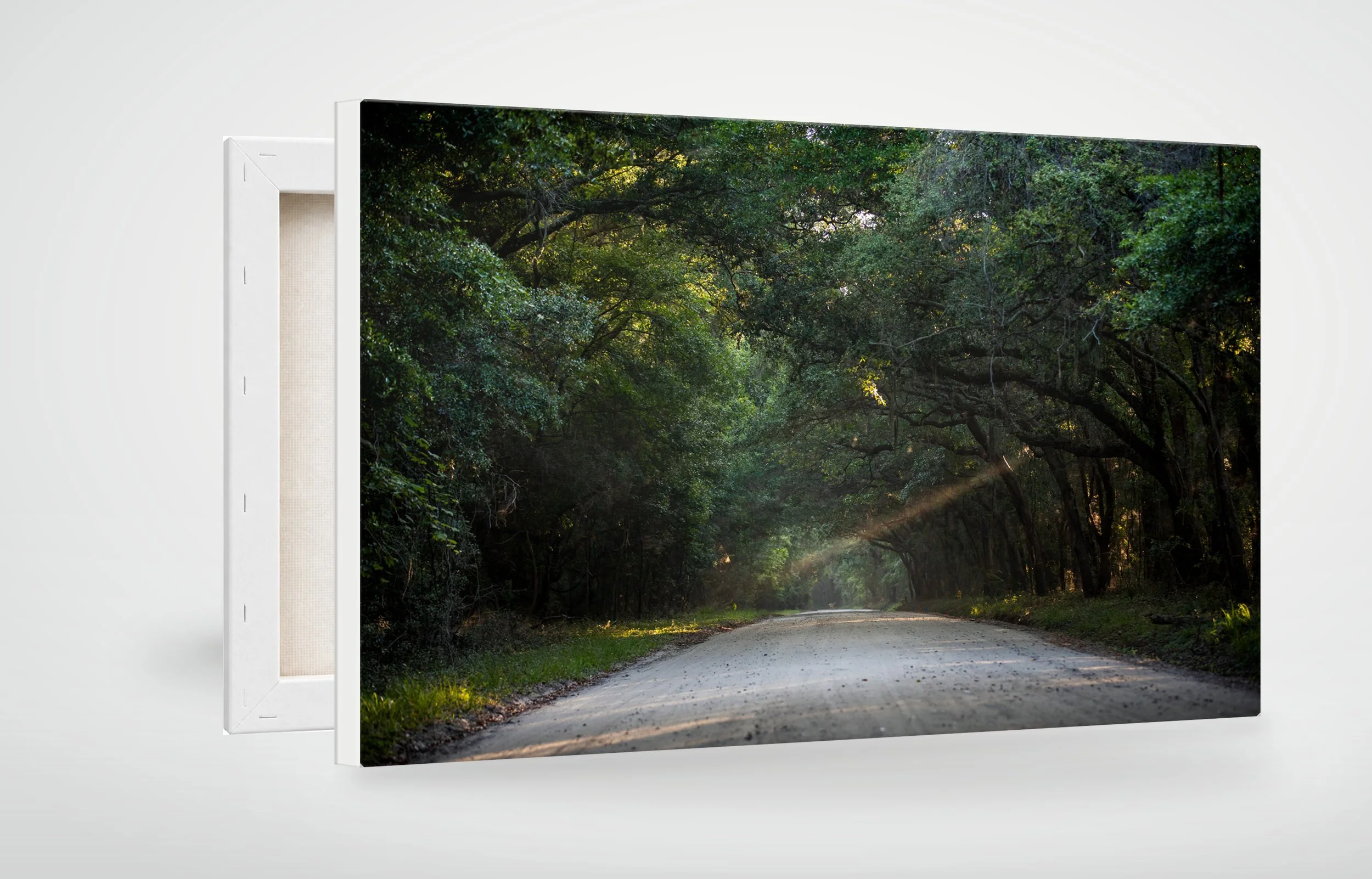 HHI01-MOCKUP-CANVAS.jpg