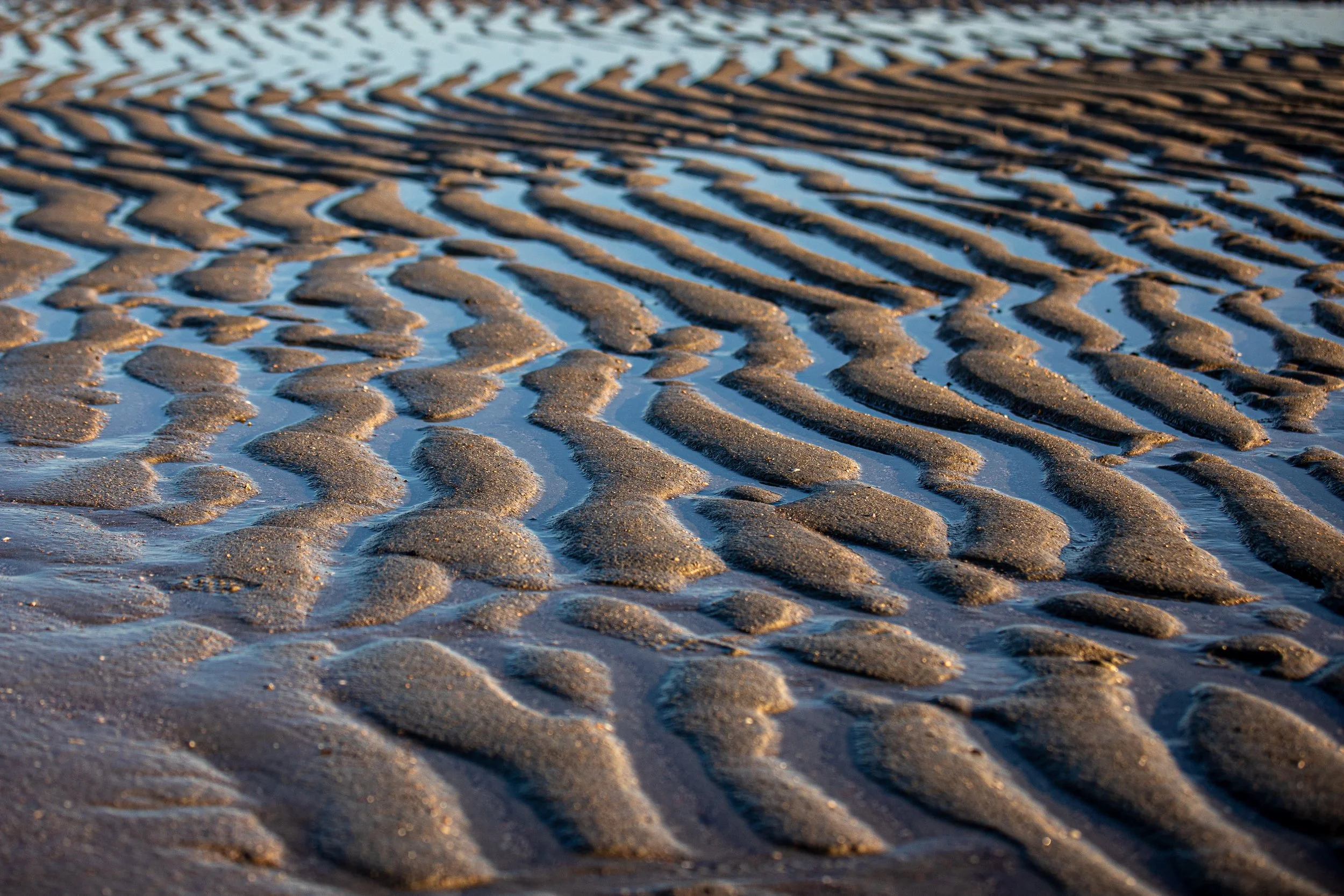 Low tide leaves repeating ripples across the sand on Hilton Head Island’s Atlantic shore. Wind, waves, and retreating water draw the pattern together; the next tide will erase it and begin the process again.