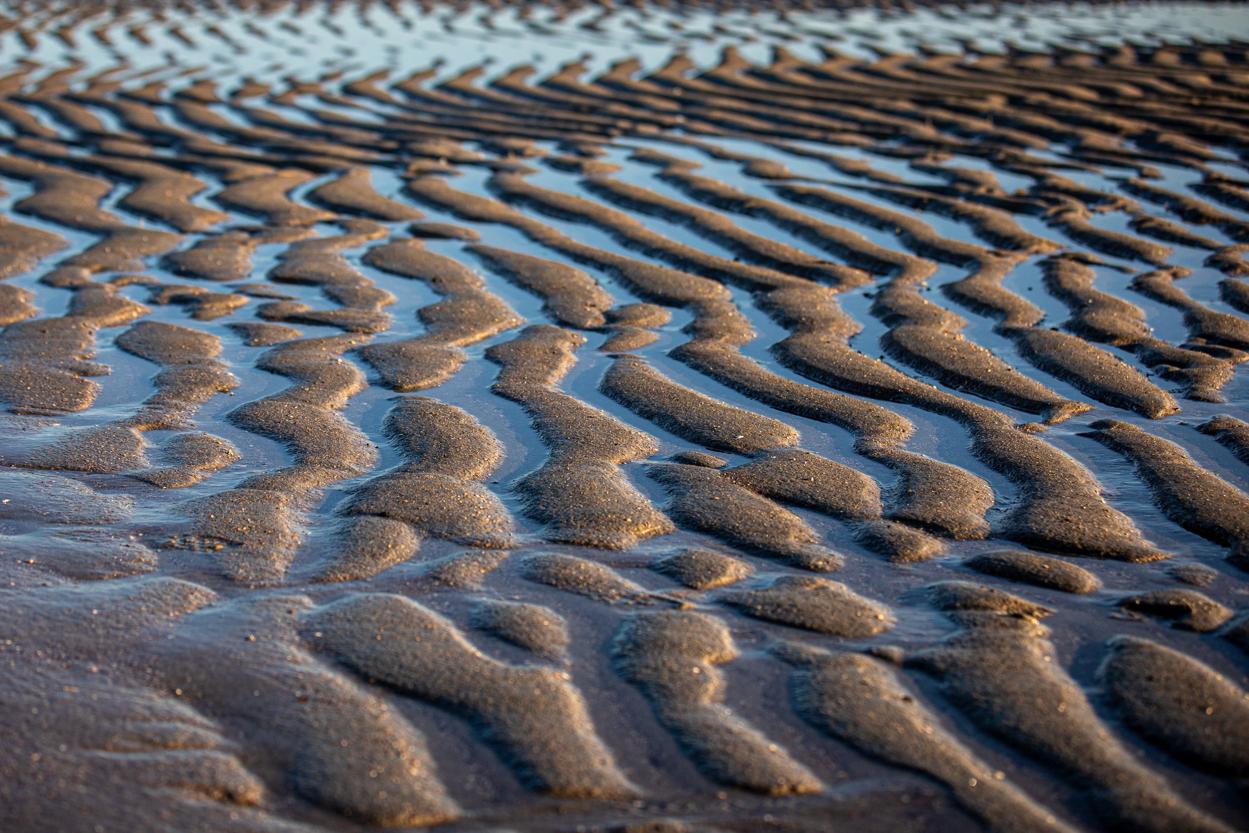 The Atlantic shoreline at low tide on Hilton Head Island, with the receding ocean exposing a broad stretch of wet sand.