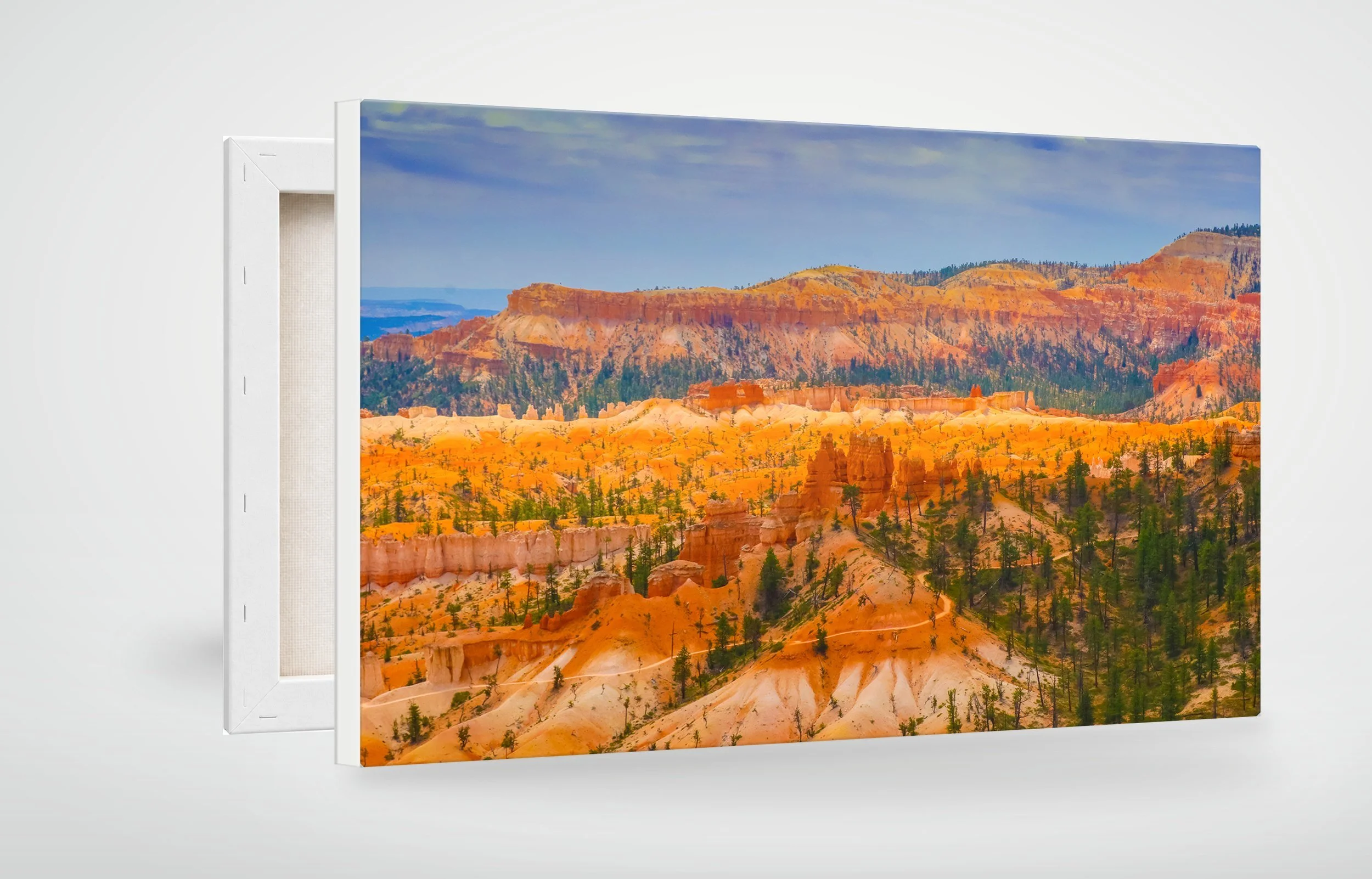 BRY02-MOCKUP-CANVAS.jpg