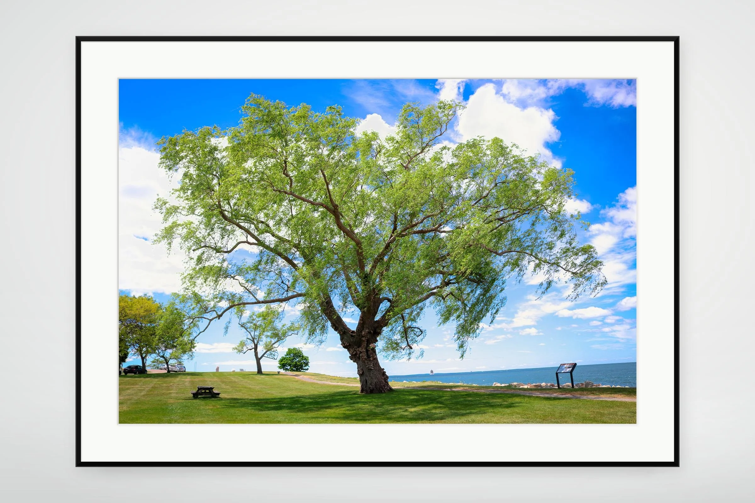 GRO01-MOCKUP-FRAMED.jpg