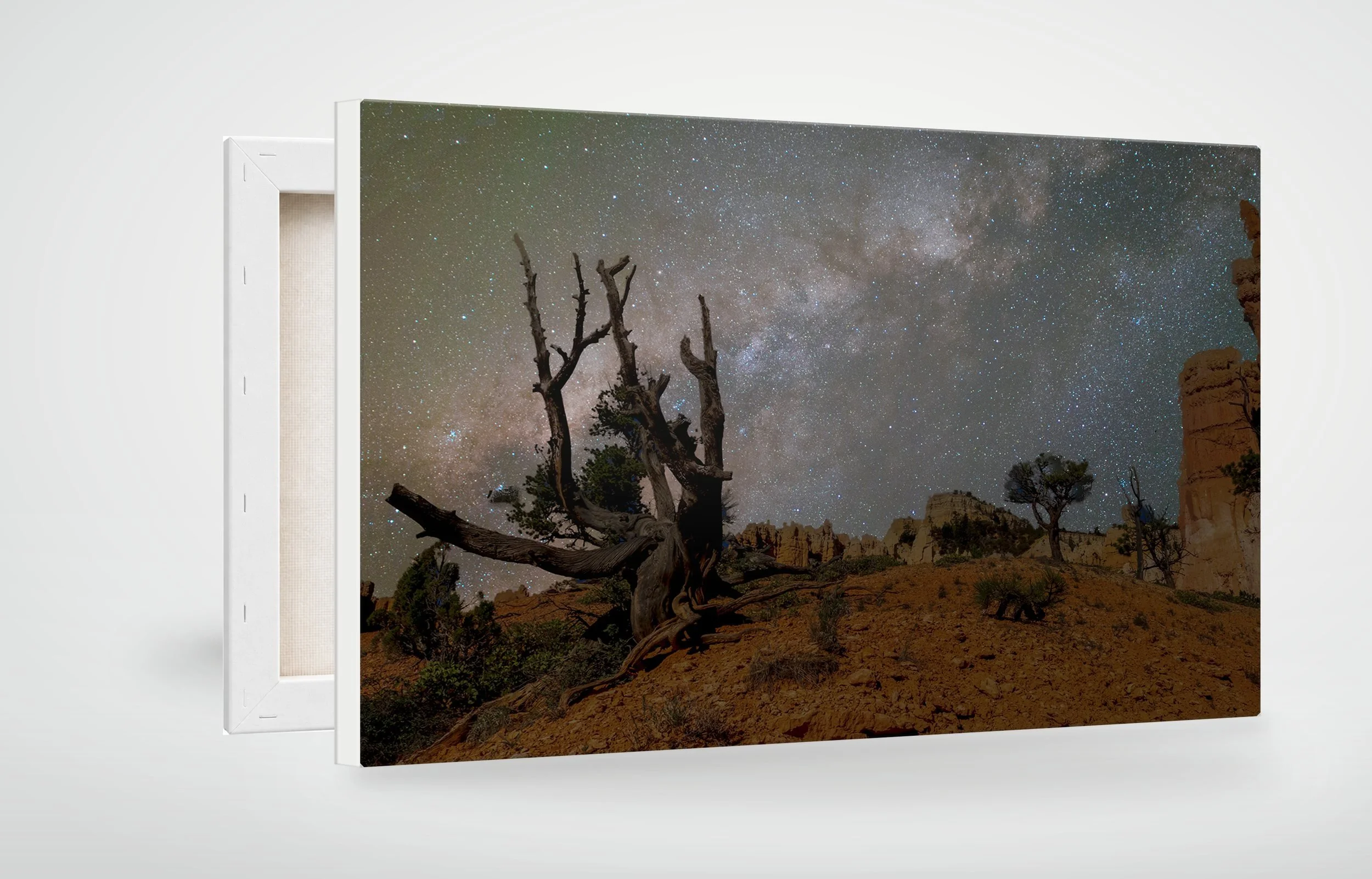 BRY01-MOCKUP-CANVAS.jpg