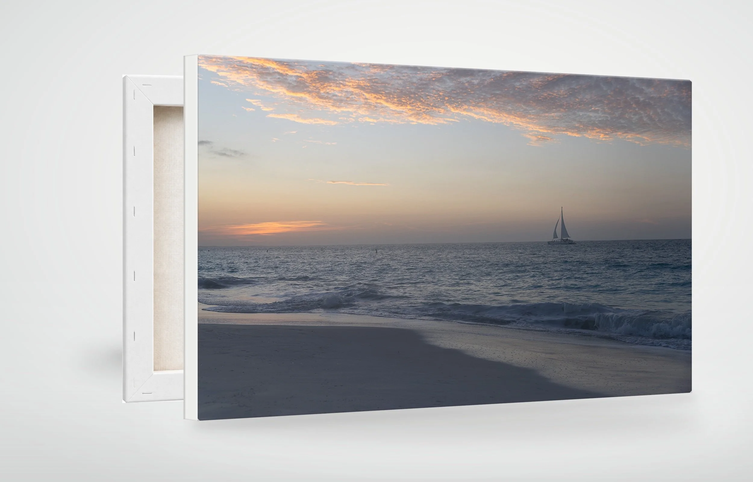 TAC12-MOCKUP-CANVAS.jpg