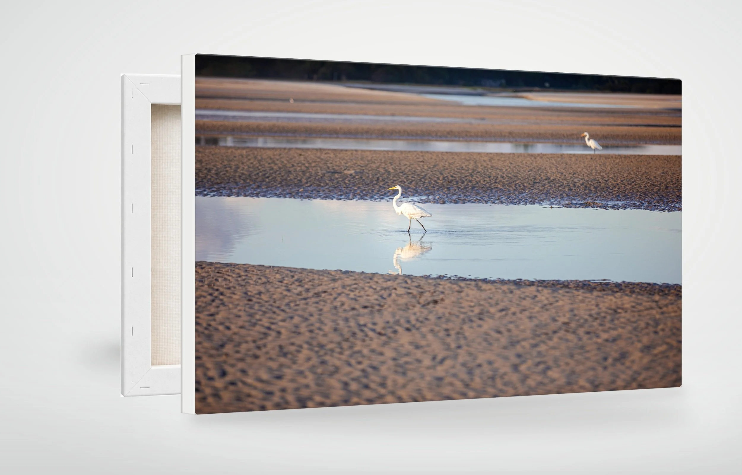 HHI03-MOCKUP-CANVAS.jpg