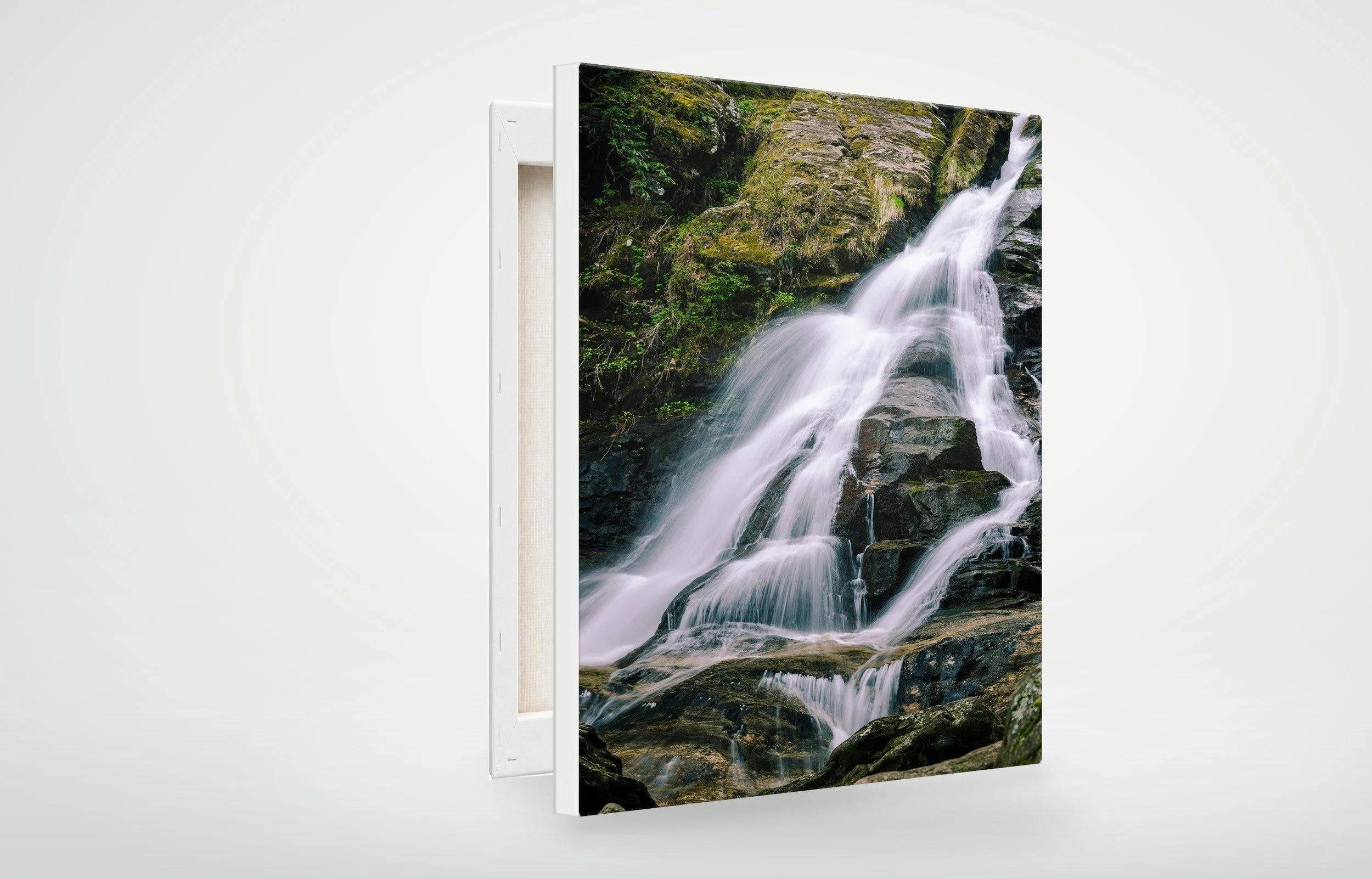 CNF02-MOCKUP-CANVAS.jpg