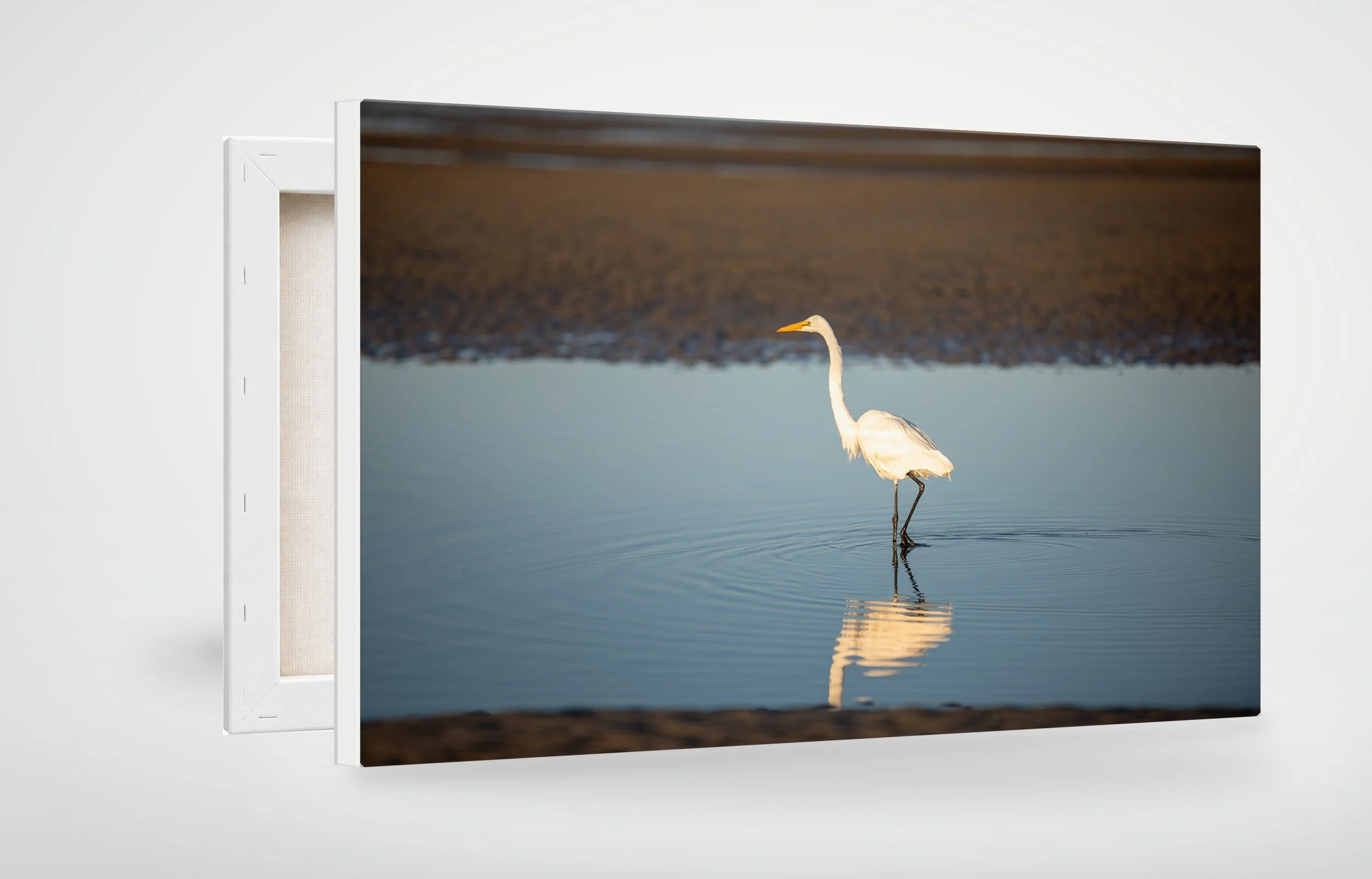 HHI04-MOCKUP-CANVAS.jpg