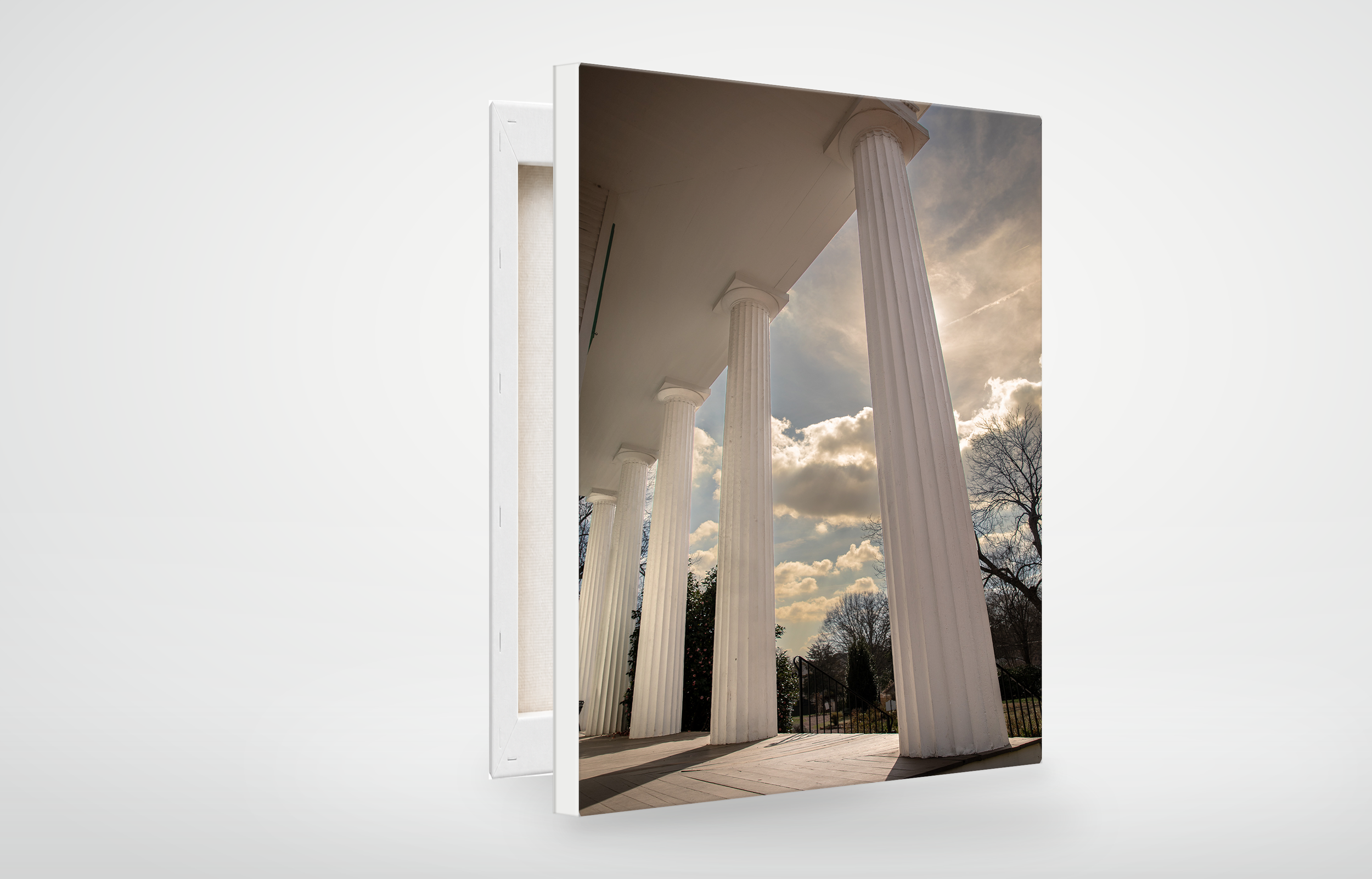 ROS01-MOCKUP-CANVAS.png