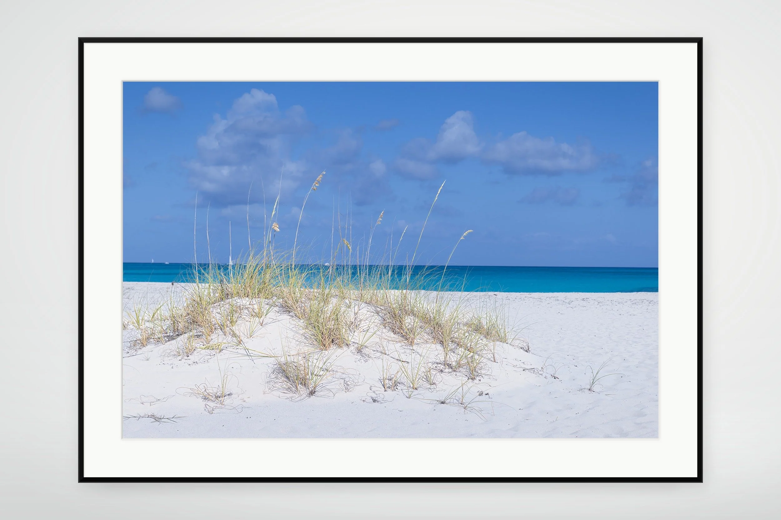 TAC04-MOCKUP-FRAMED.jpg