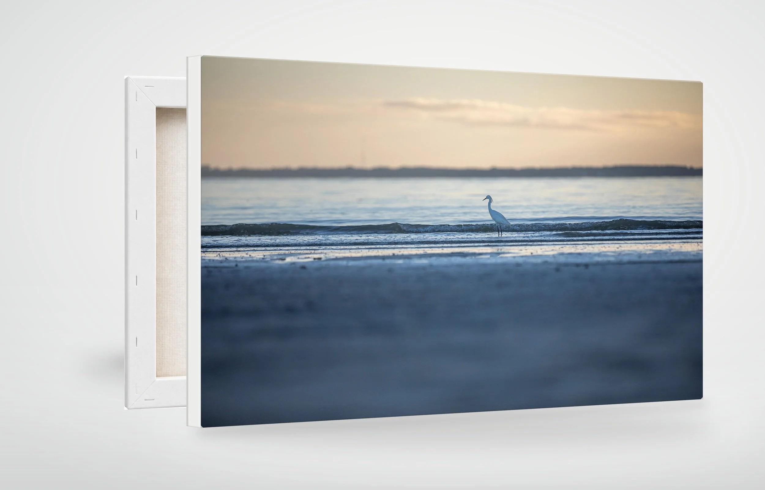 HHI02-MOCKUP-CANVAS.jpg