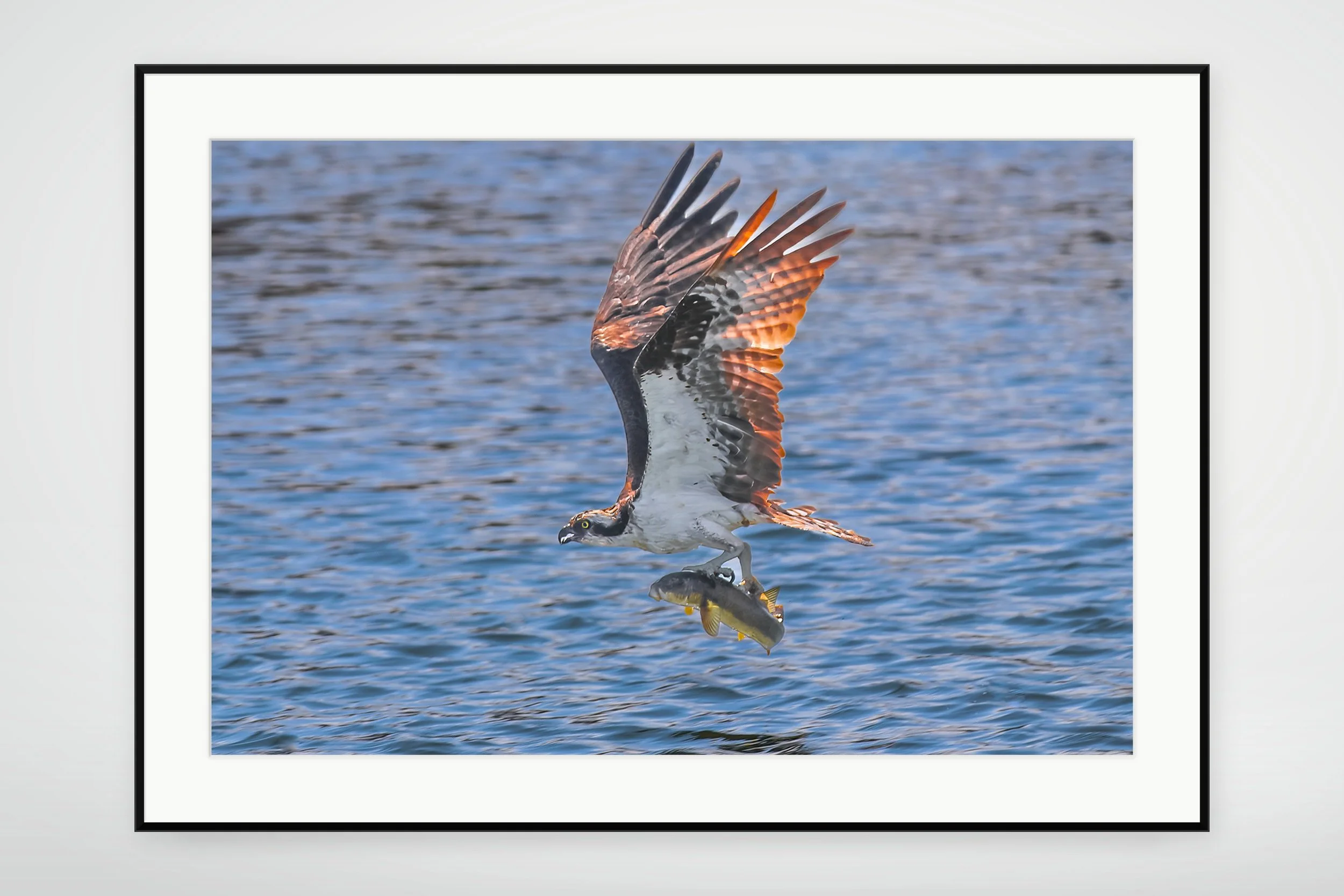 LAT01-MOCKUP-FRAMED.jpg