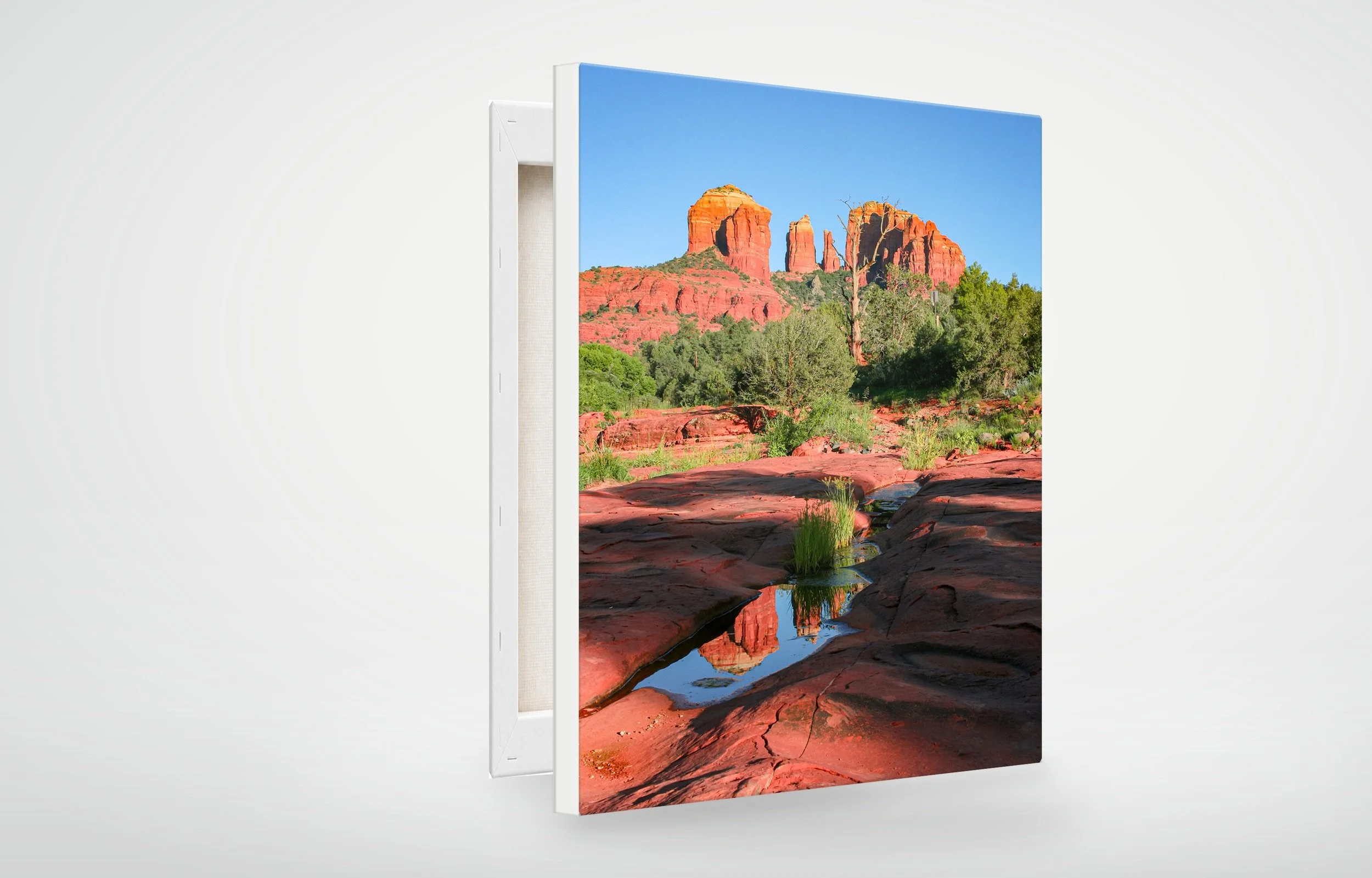 SED01-MOCKUP-CANVAS.jpg