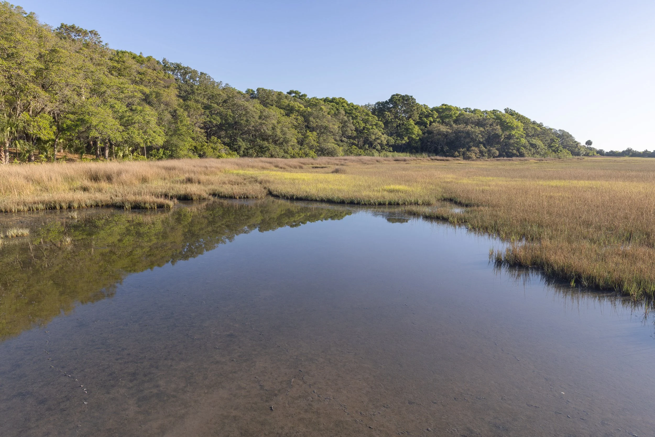 Salt marsh and tidal waterways preserved within the natural landscape of Hilton Head Island.