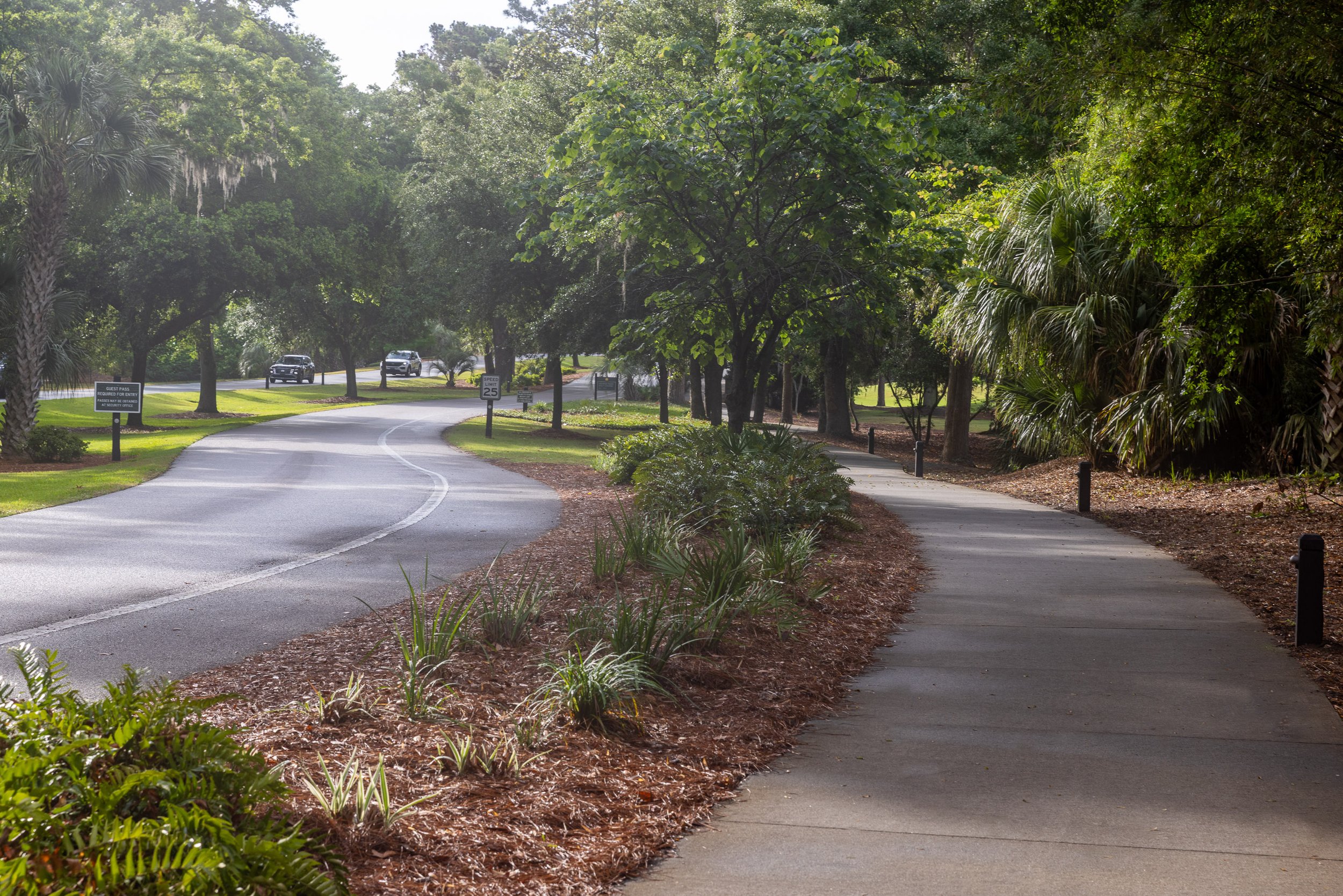 A common sight in Hilton Head - a roadway and dedicated bike path curve side by side through the island. The separation feels ordinary now, but it reveals how movement was planned into the landscape—cars, bicycles, pedestrians, and trees each given t