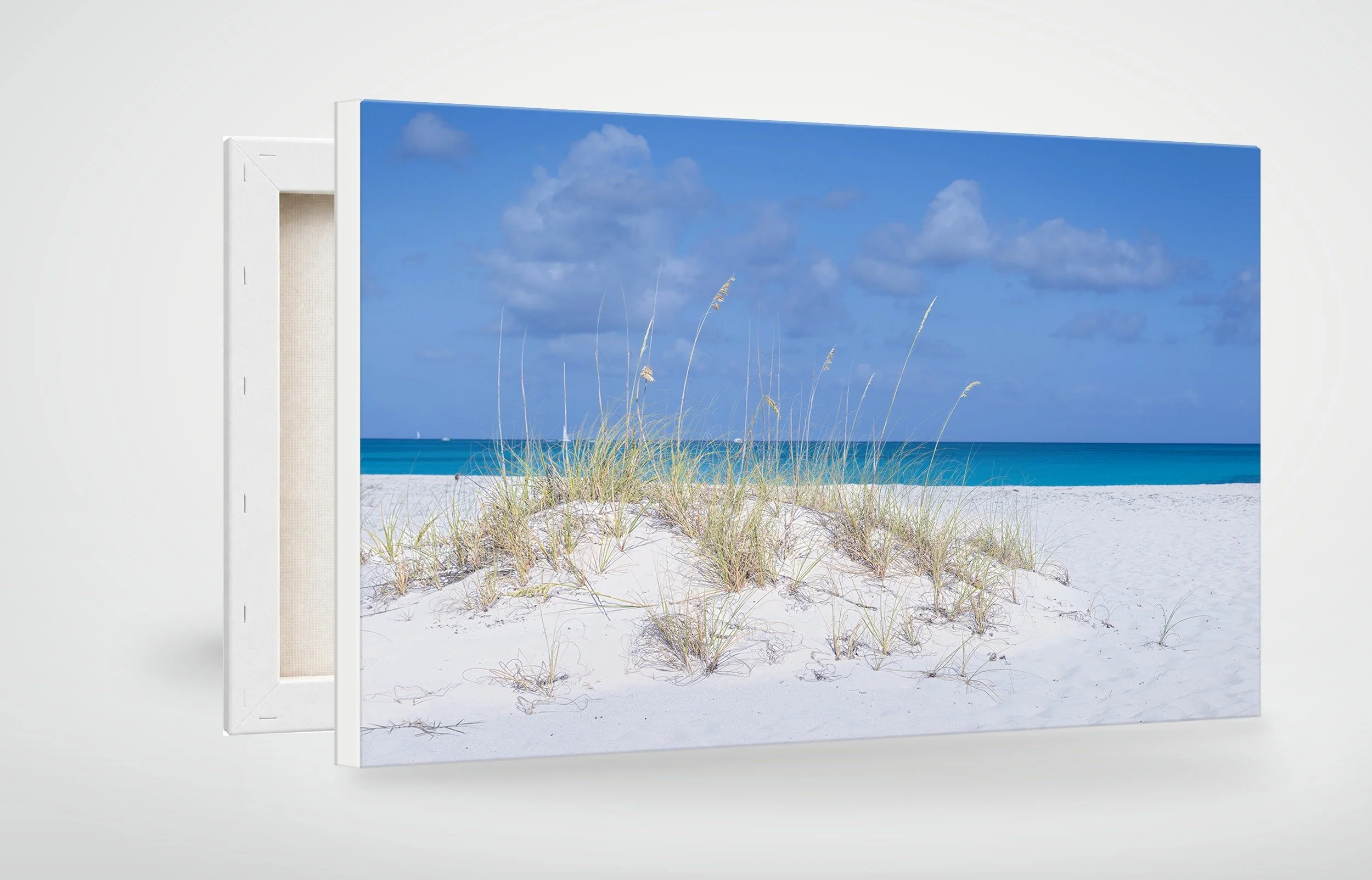 TAC04-MOCKUP-CANVAS.jpg