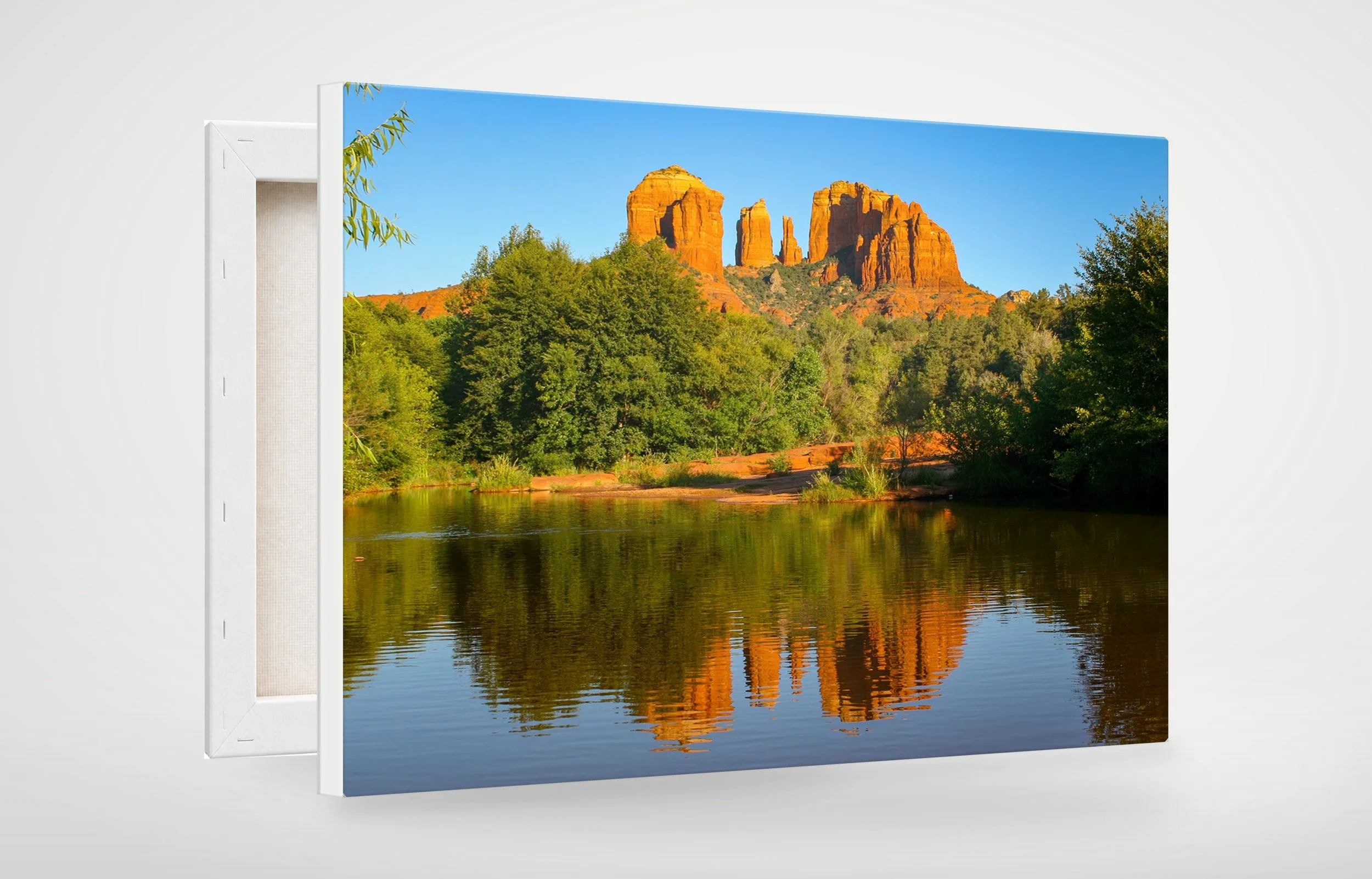 SED02-MOCKUP-CANVAS.jpg