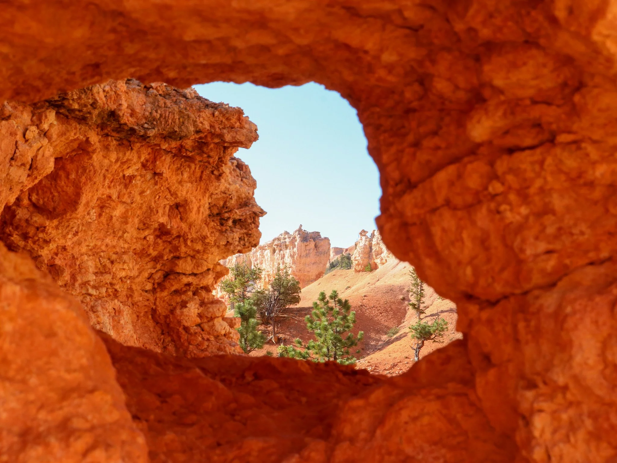 Trees and distant formations appear through an opening in an orange rock wall. The span overhead can eventually collapse, leaving separate pillars on either side. Seen with that possibility in mind, a rock window records a stage in an ongoing process