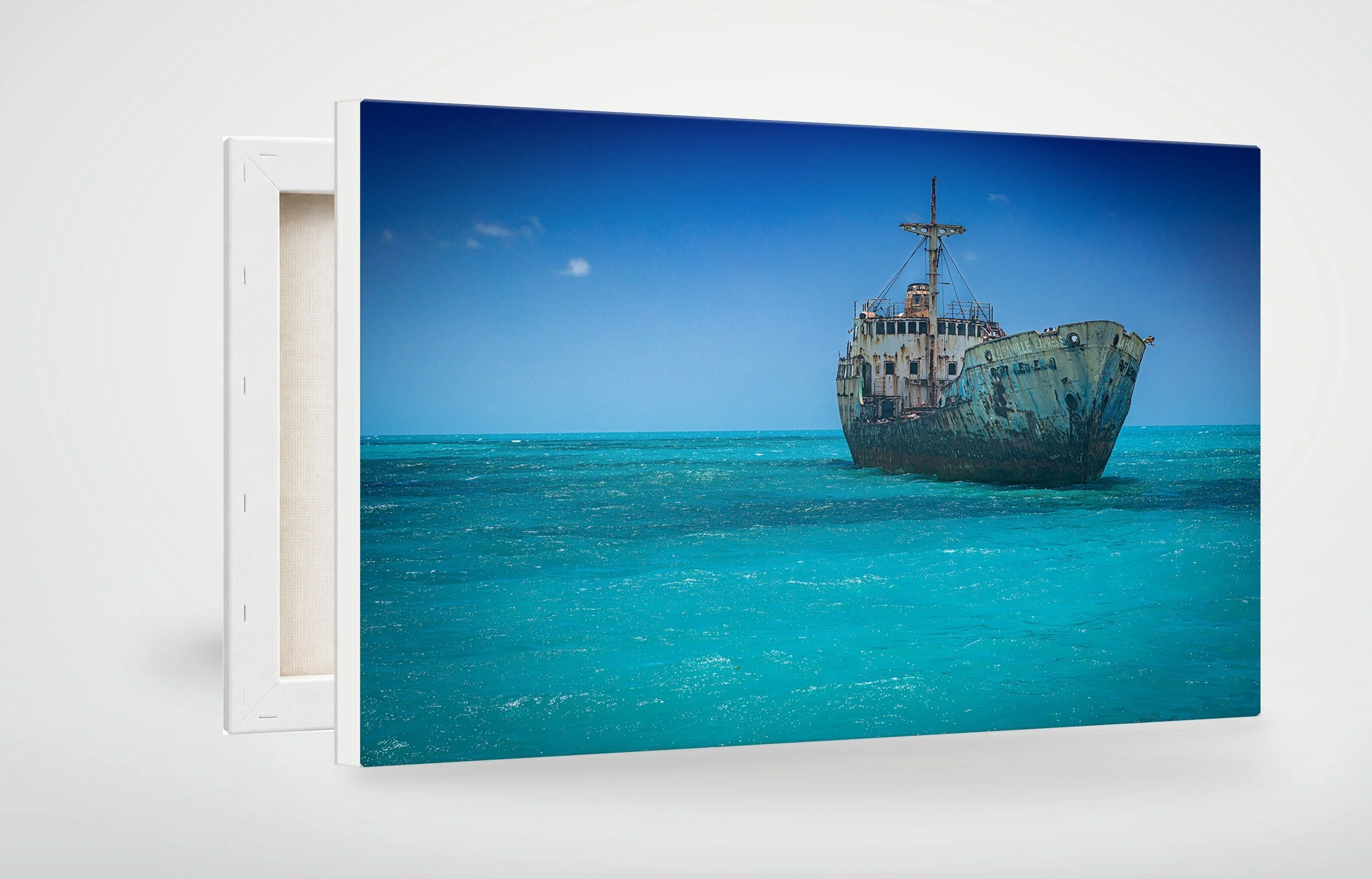 TAC09-MOCKUP-CANVAS.jpg