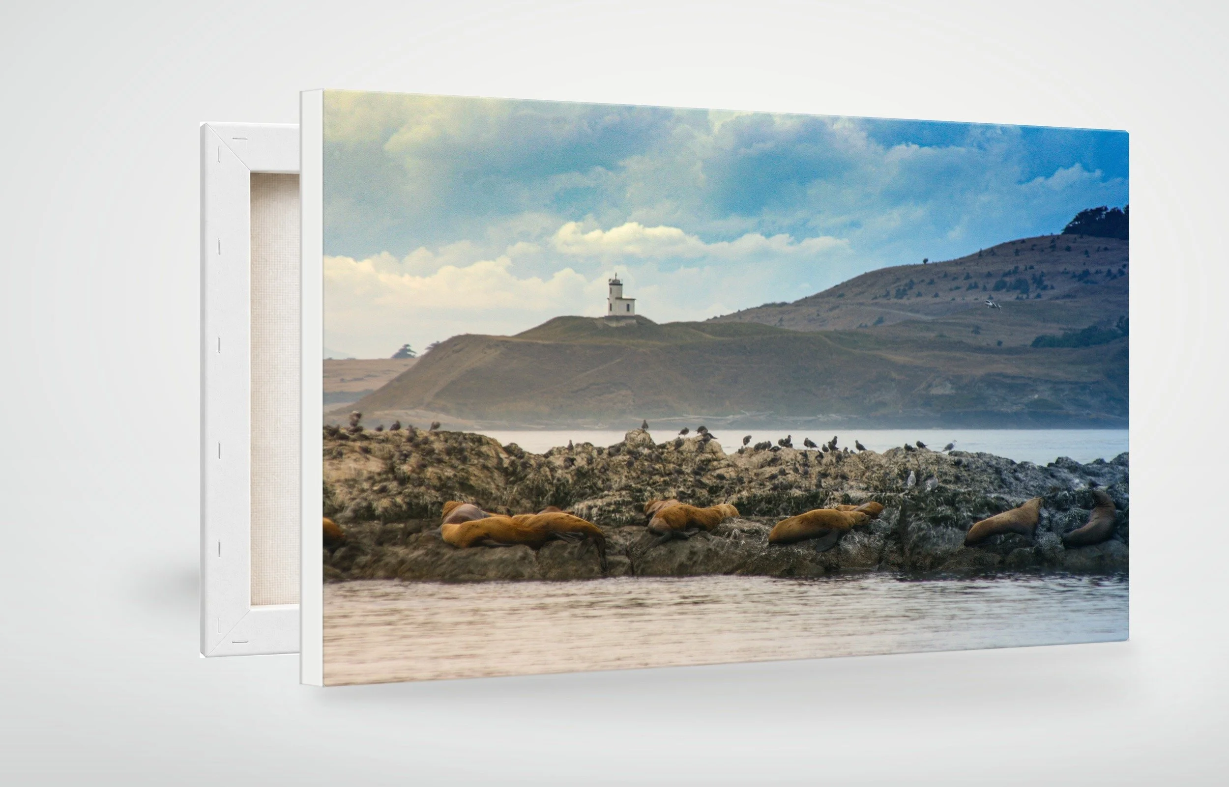 FRI01-MOCKUP-CANVAS.jpg